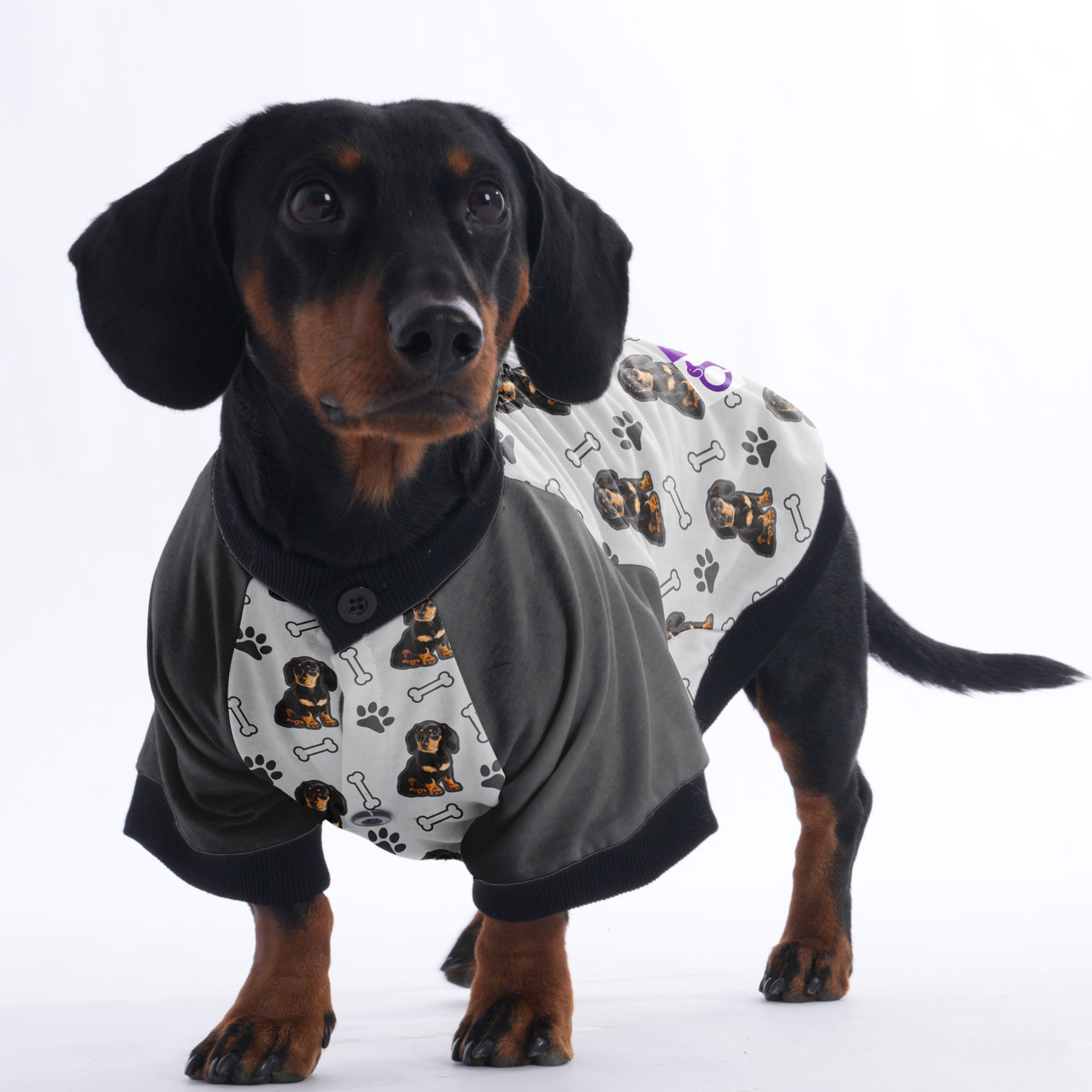 Custom Jacket for Dachshunds Featuring with dachshund's picture