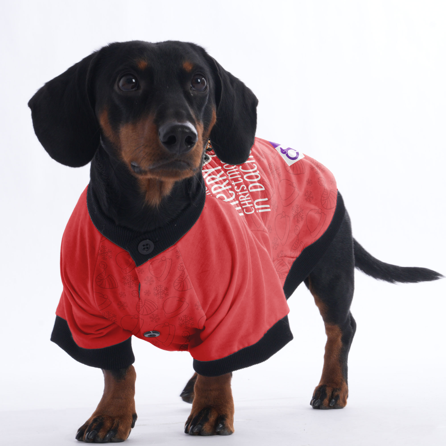 Woof means Merry Christmas in Dachshund - Jacket for Dachshunds