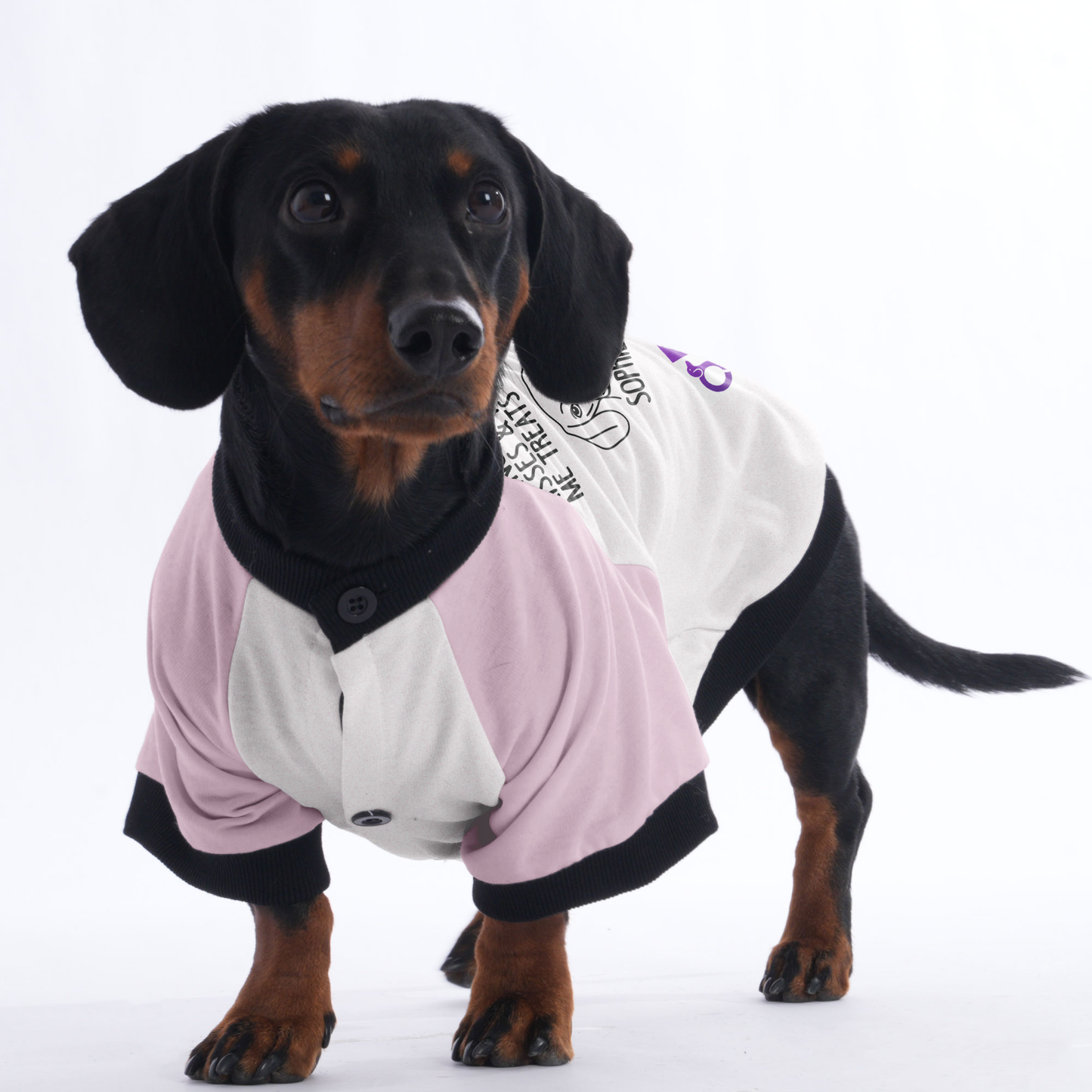 Customized Doxie Jacket with Your Dog's Name