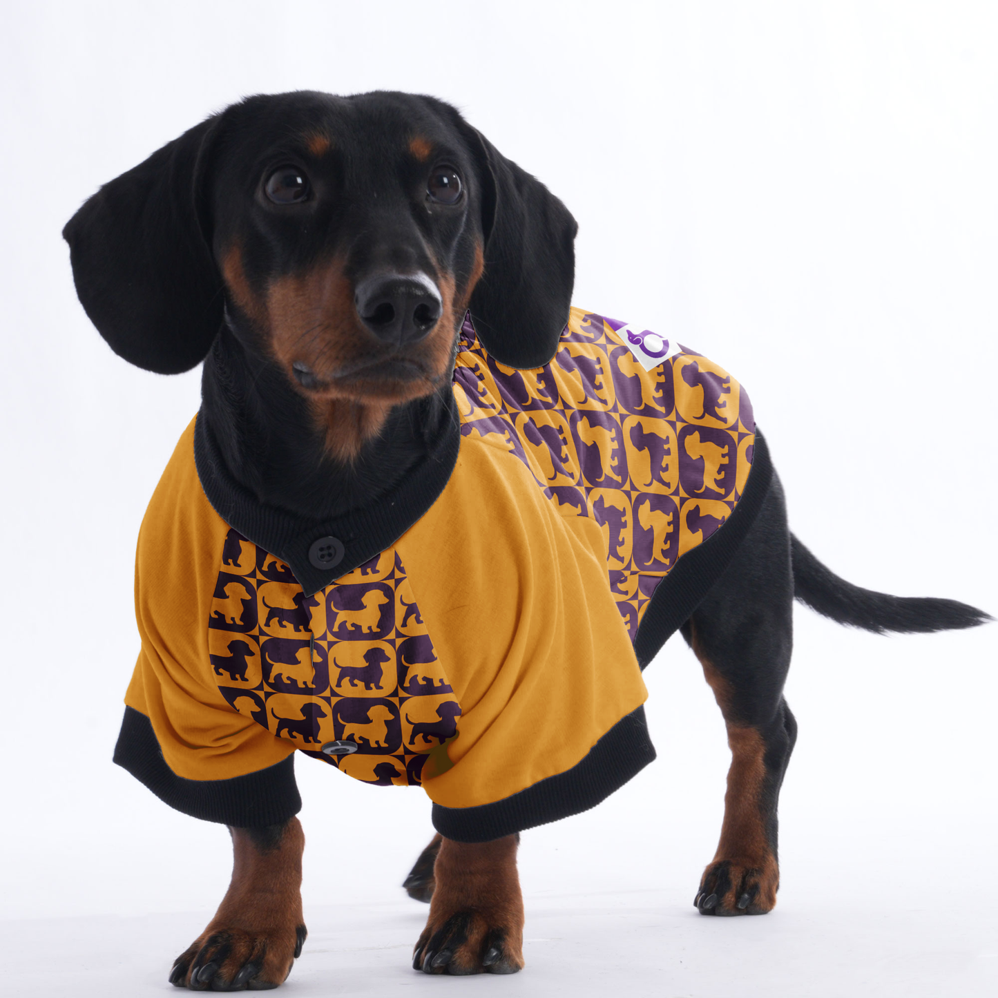 Ludwig - Jacket for Dachshunds