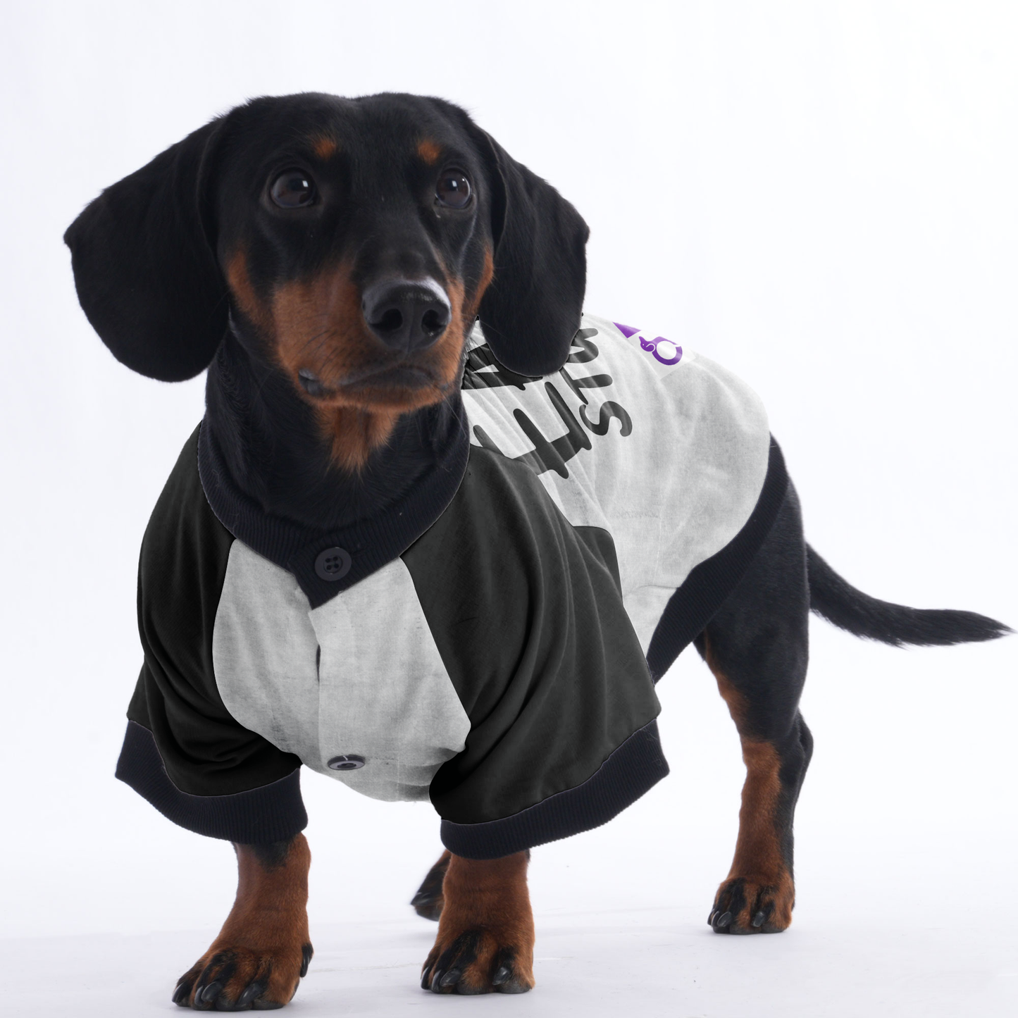 I eat stuff - Jacket for Dachshunds