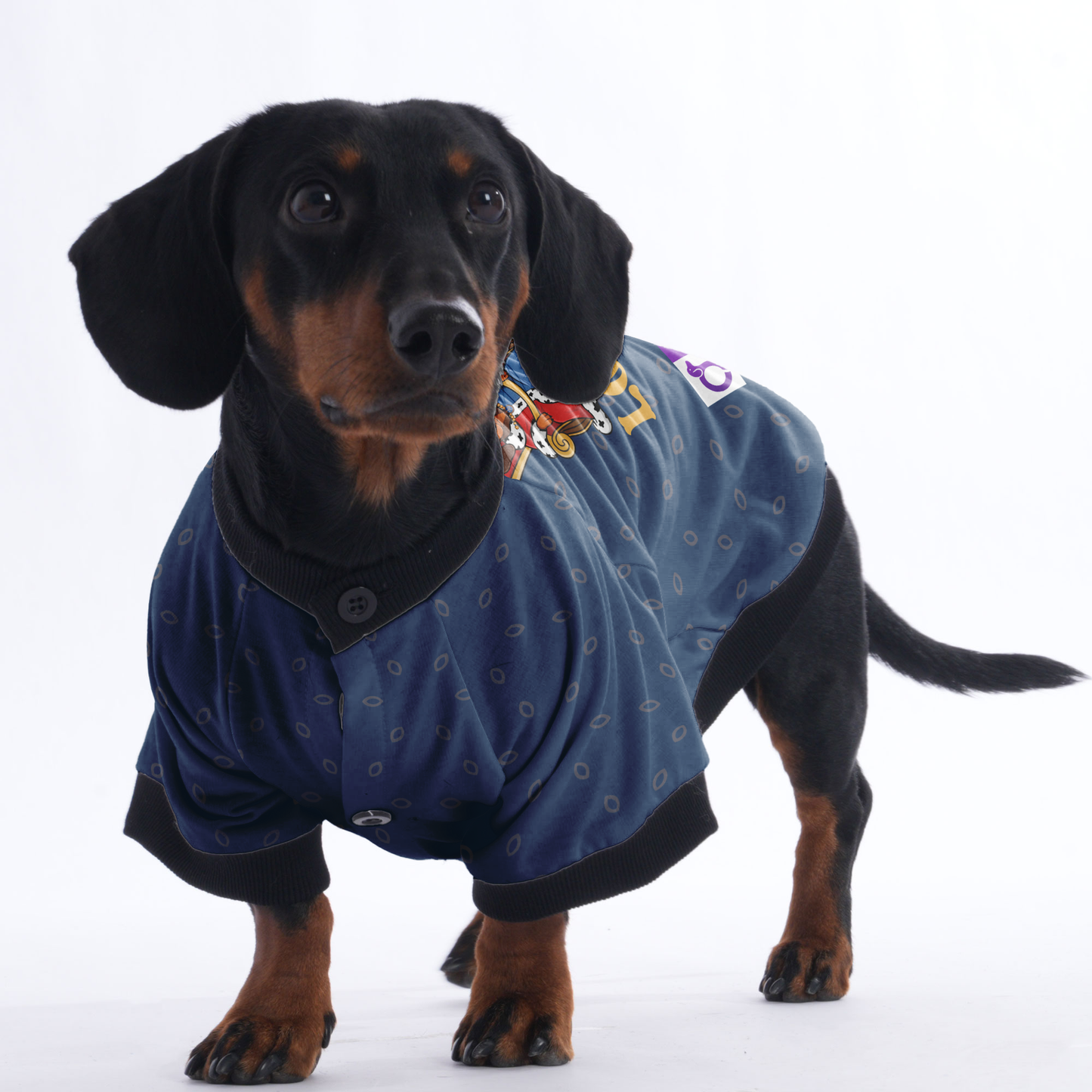 Customized Dachshund Jacket with Your Pet’s Name