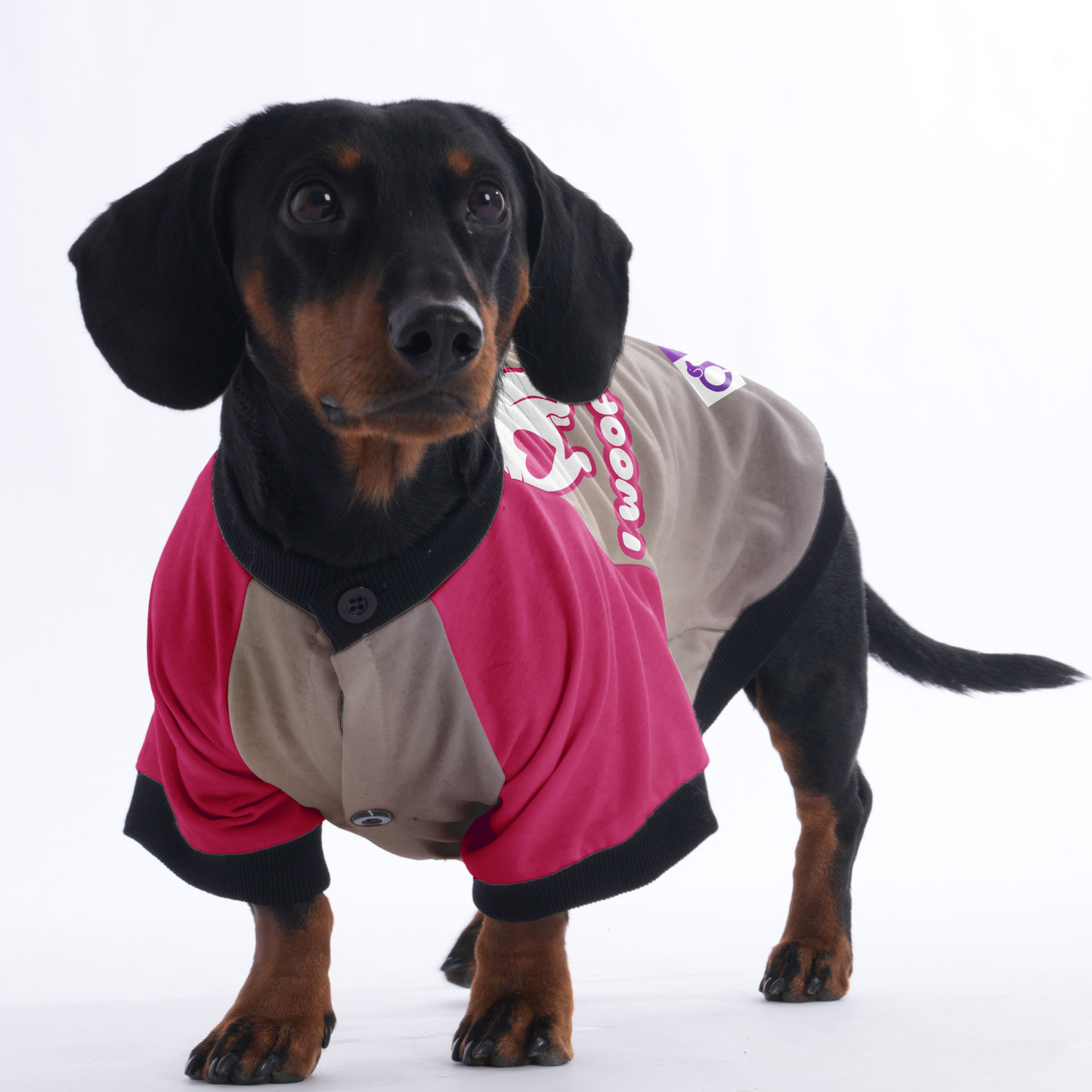 I woof you - Jacket for Dachshunds