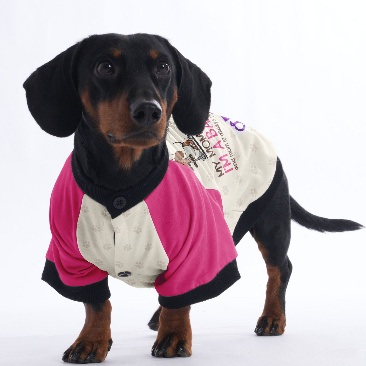 I’m telling you I’m not a dachshund; my mom said I’m a baby, and mom is always right - Jacket for Dachshunds