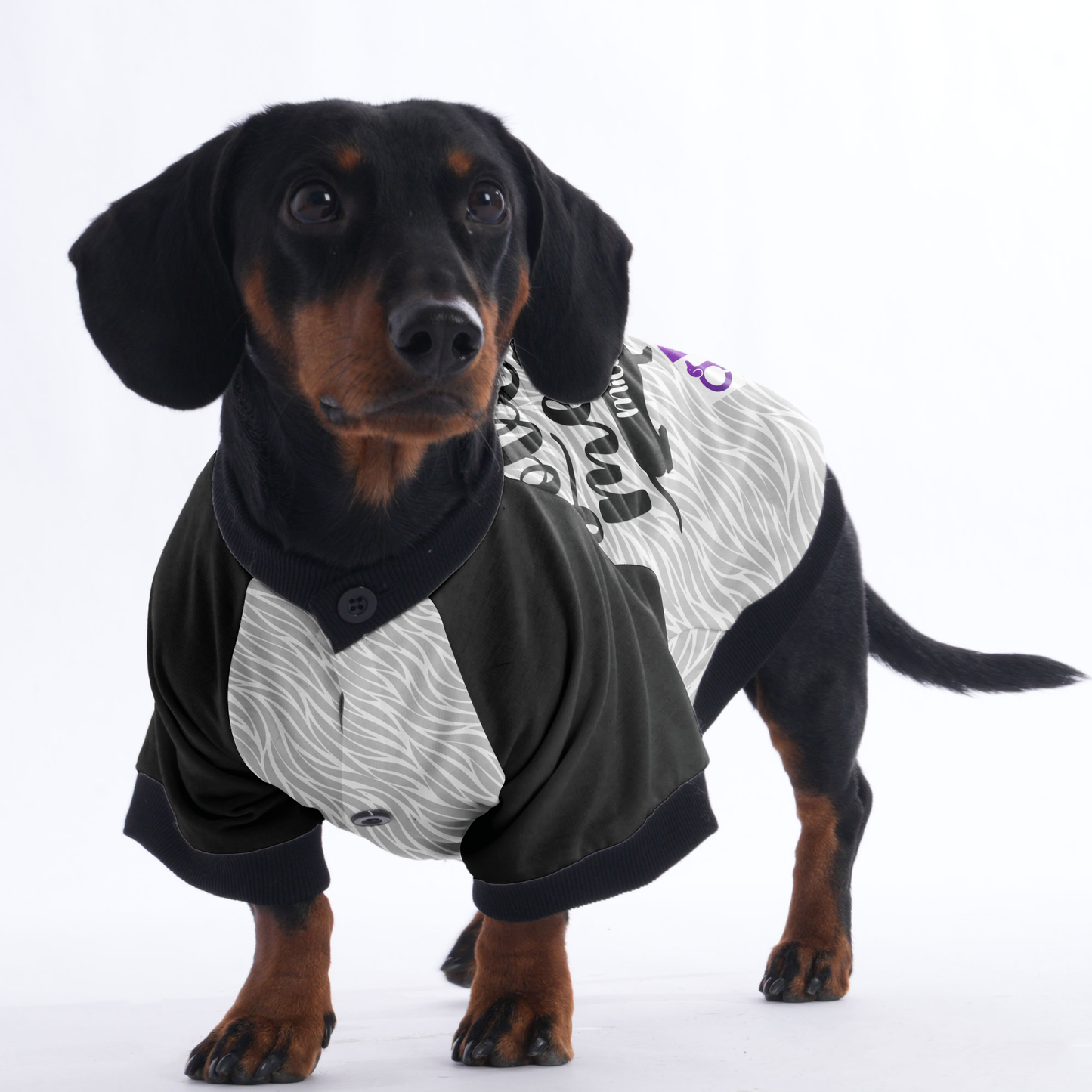 Custom Jacket for Dachshunds with Your dachshund's Name