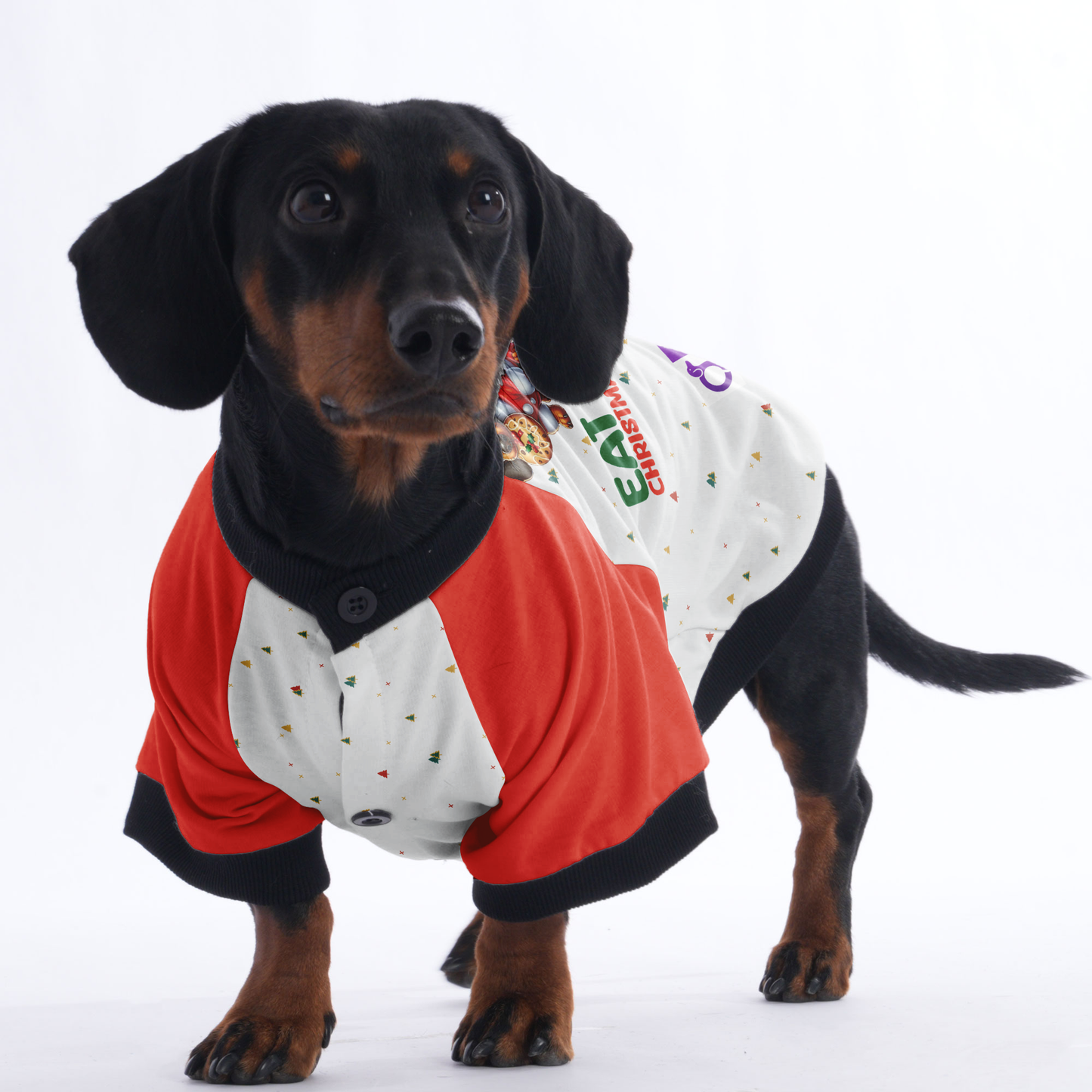 Life is short eat more christmas cookies - Jacket for Dachshunds