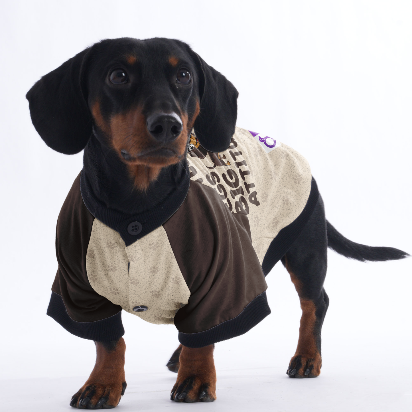 LITTLE LEGS, BIG ATTITUDE  - Jacket for Dachshunds