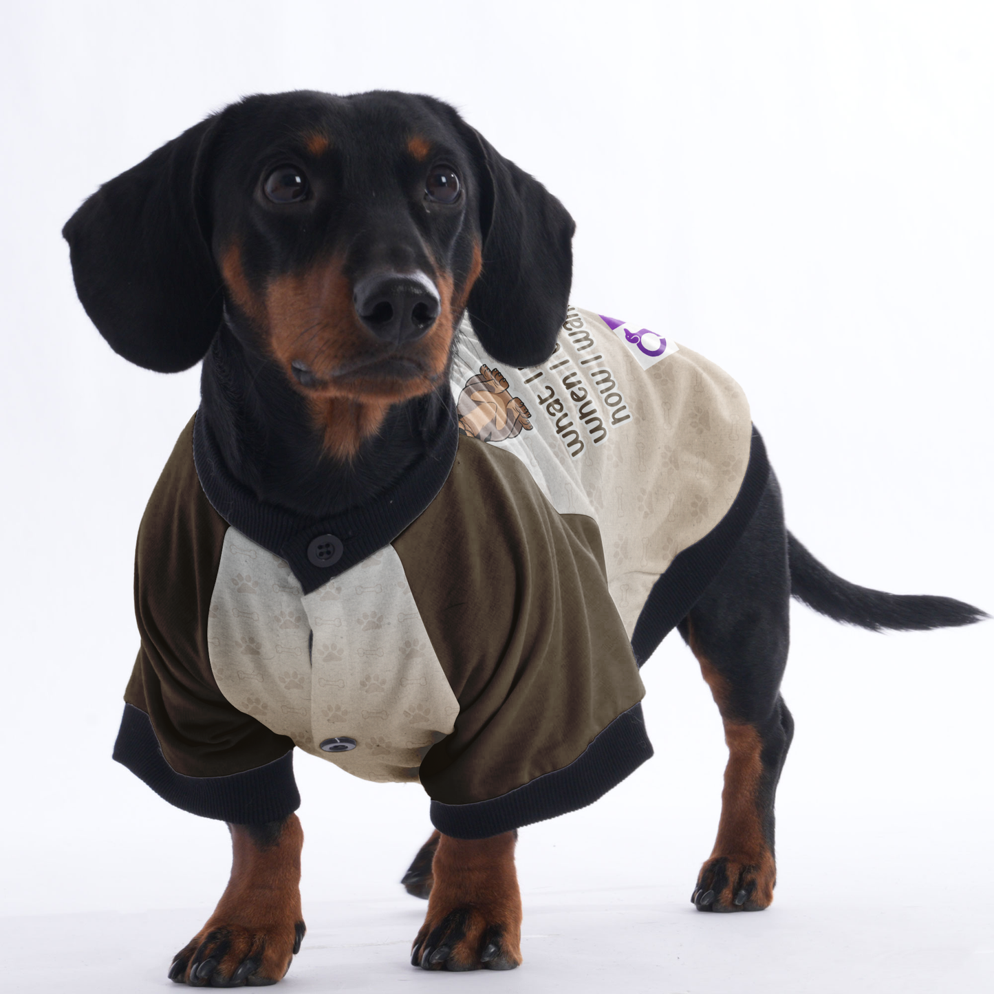 I do what i want,when i want, how i want - Jacket for Dachshunds