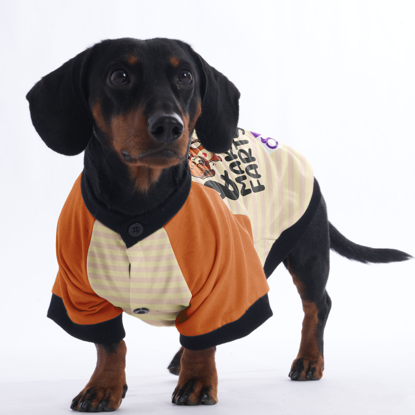 Stealin Hearts & Makin Farts - Jacket for Dachshunds