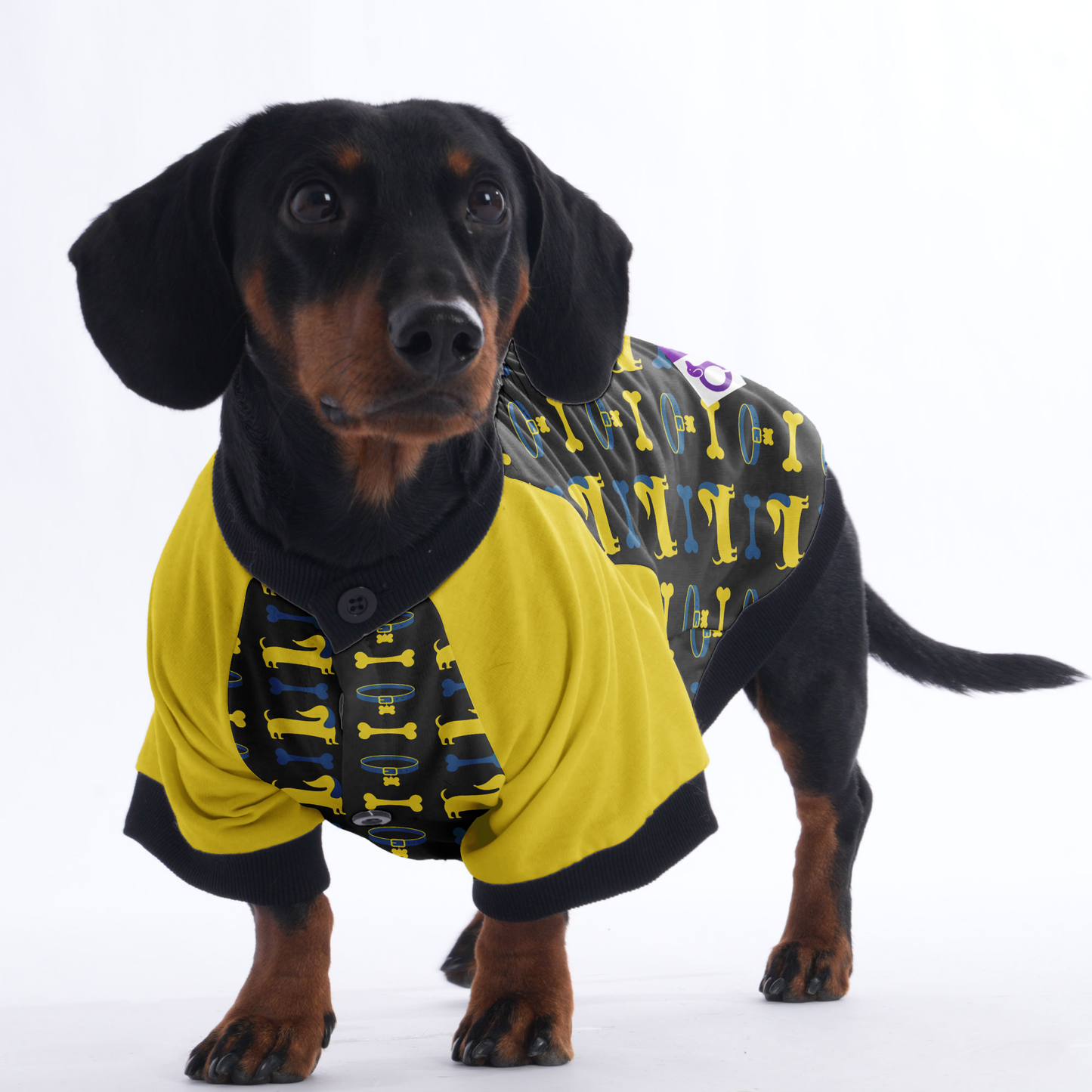 Slinky - Jacket for Dachshunds