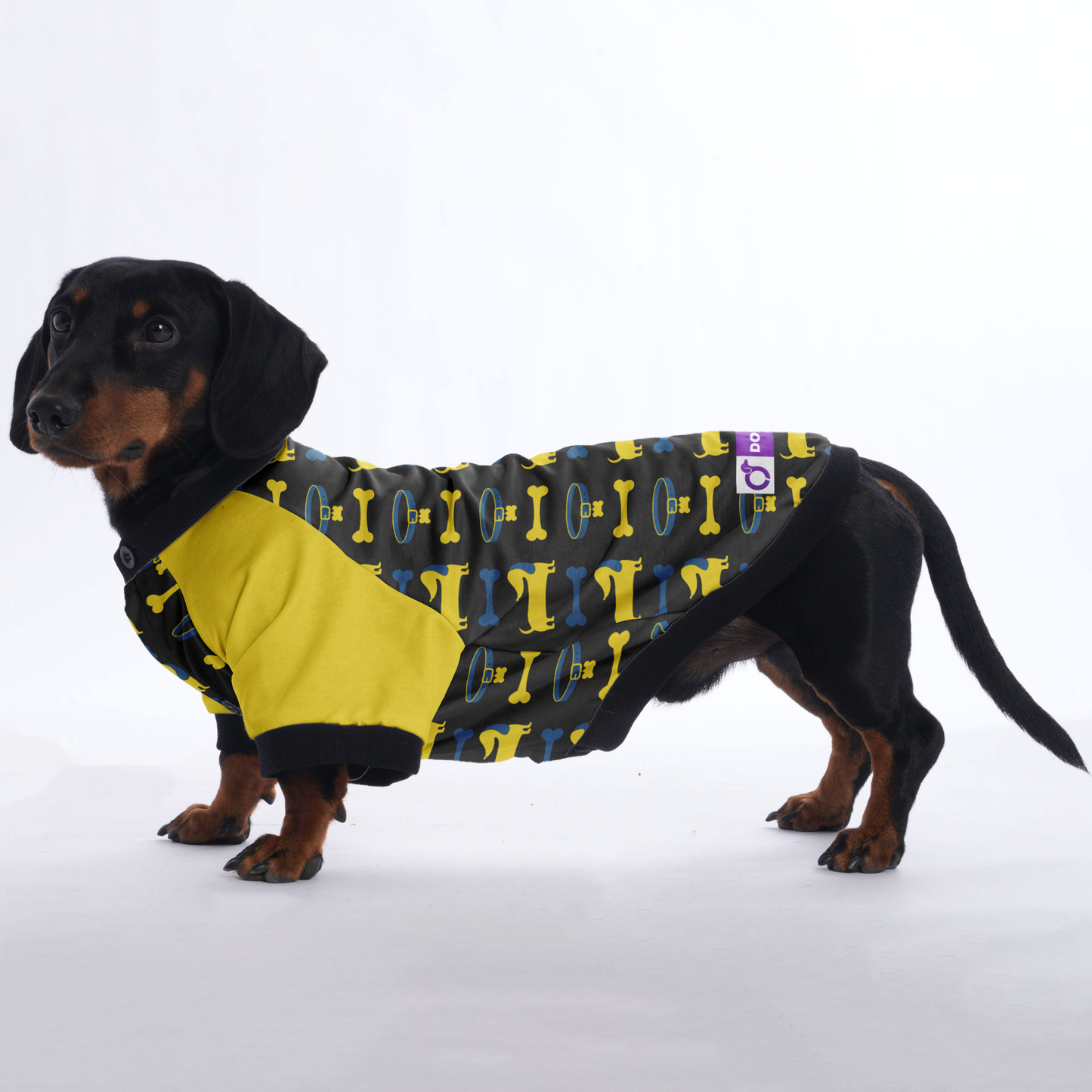 Slinky - Jacket for Dachshunds