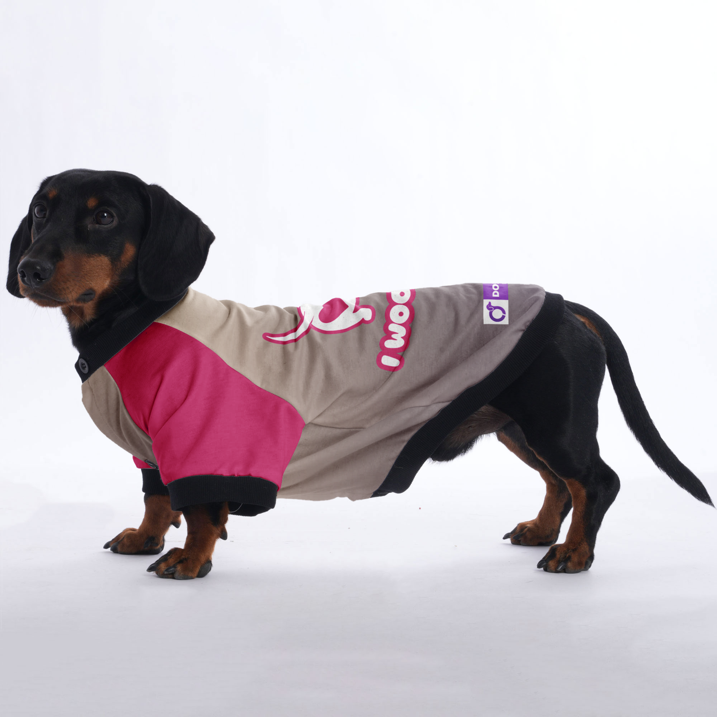 I woof you - Jacket for Dachshunds