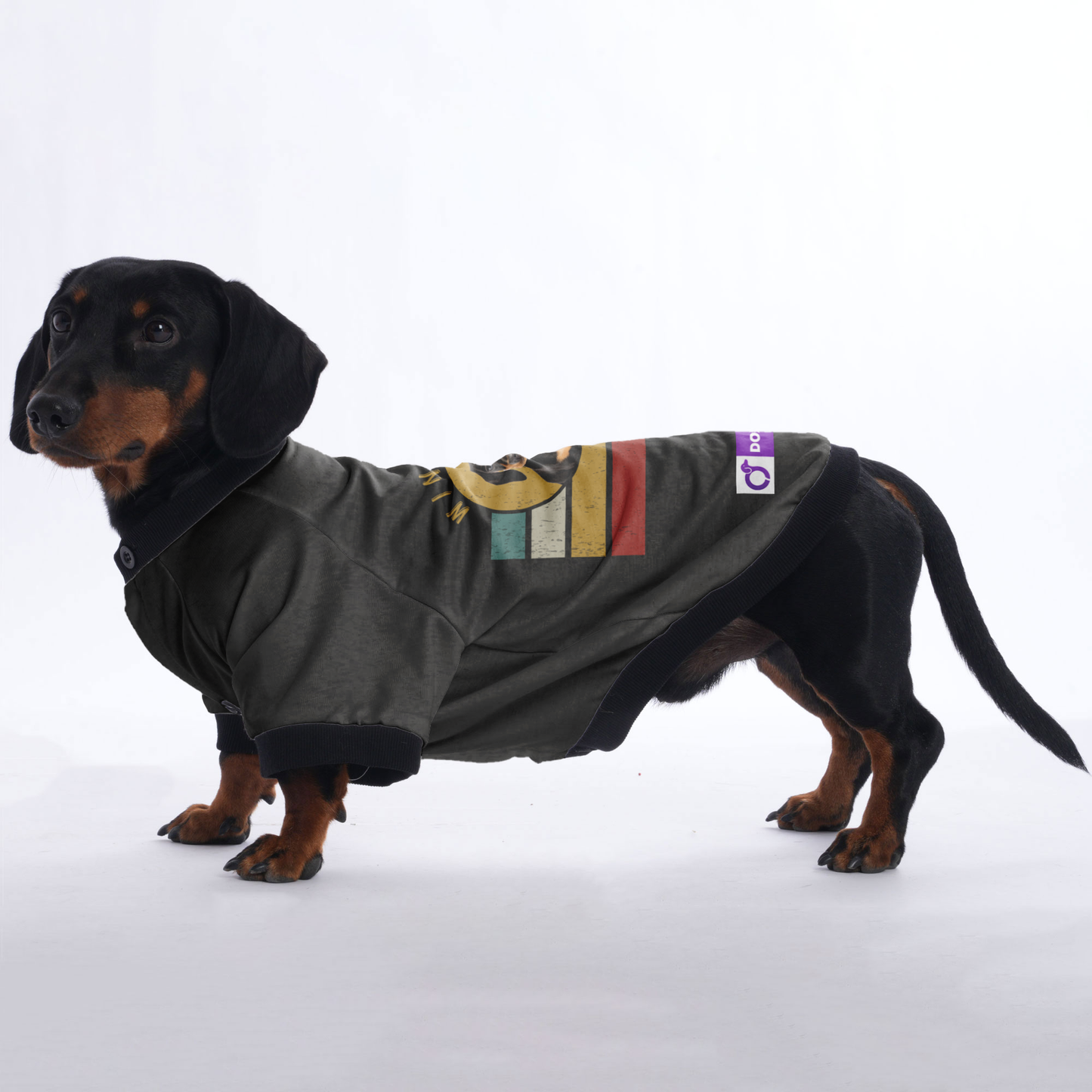 Personalized Dachshund Jacket with Your Dog's Name and Picture