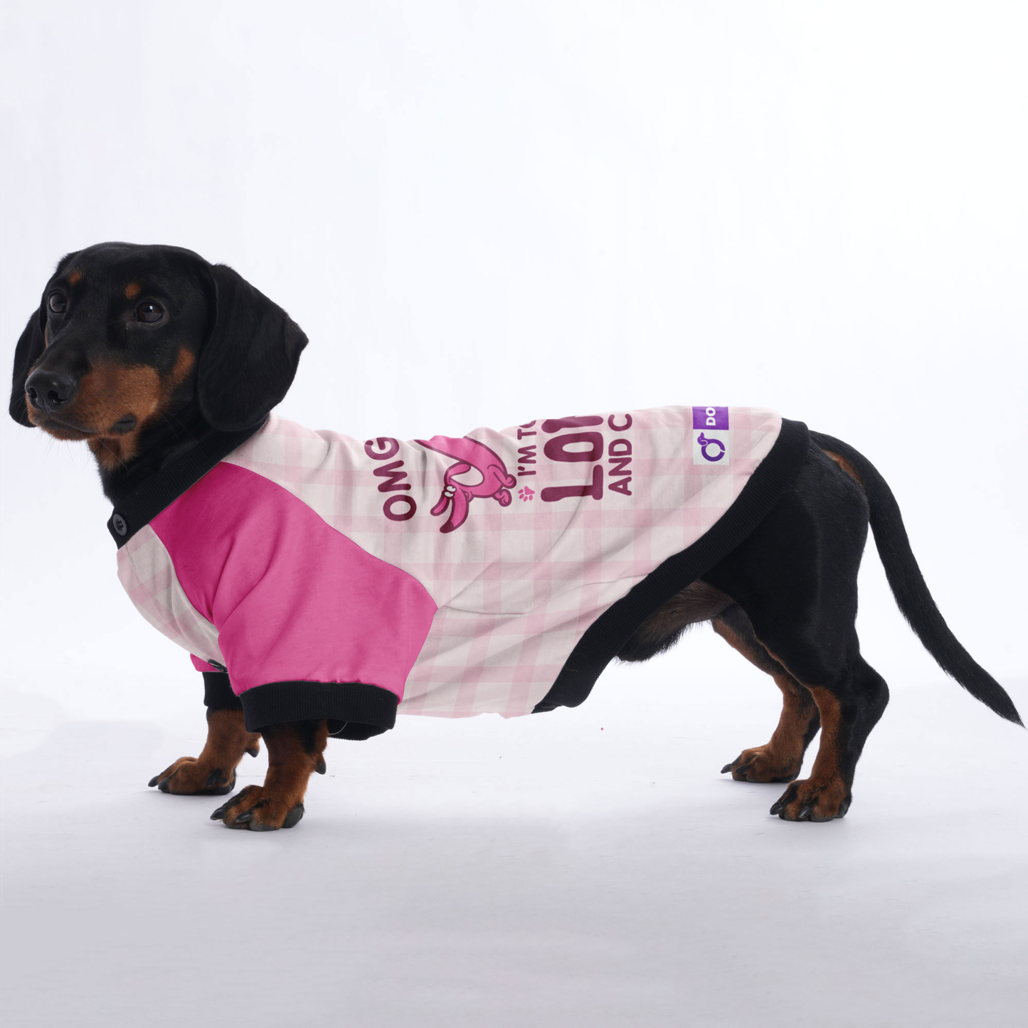 OMG I'M TOO LONG AND CUTE - Jacket for Dachshunds