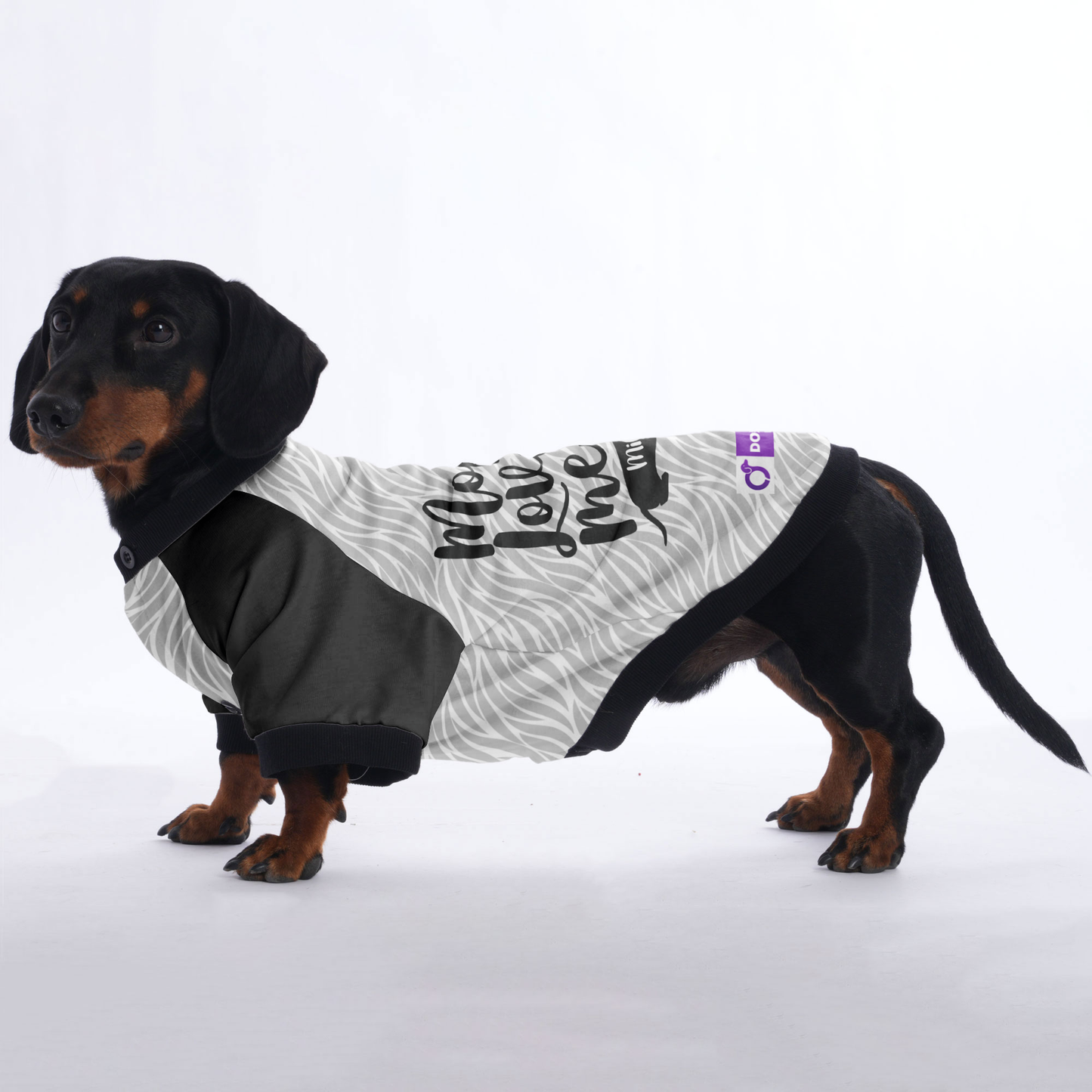 Custom Jacket for Dachshunds with Your dachshund's Name