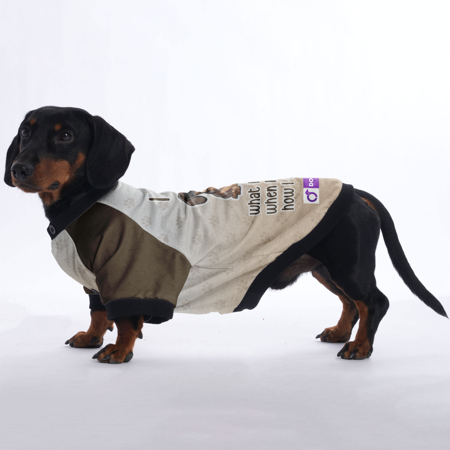 I do what i want,when i want, how i want - Jacket for Dachshunds