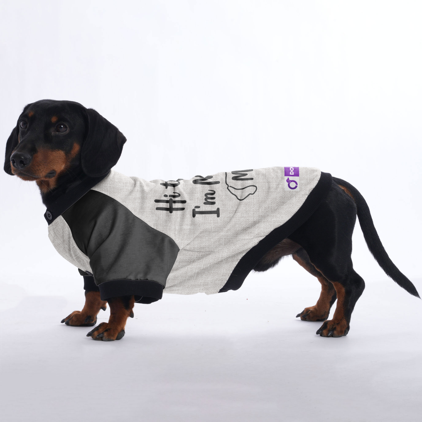 Personalized Doxie Jacket with Your Pup's Name