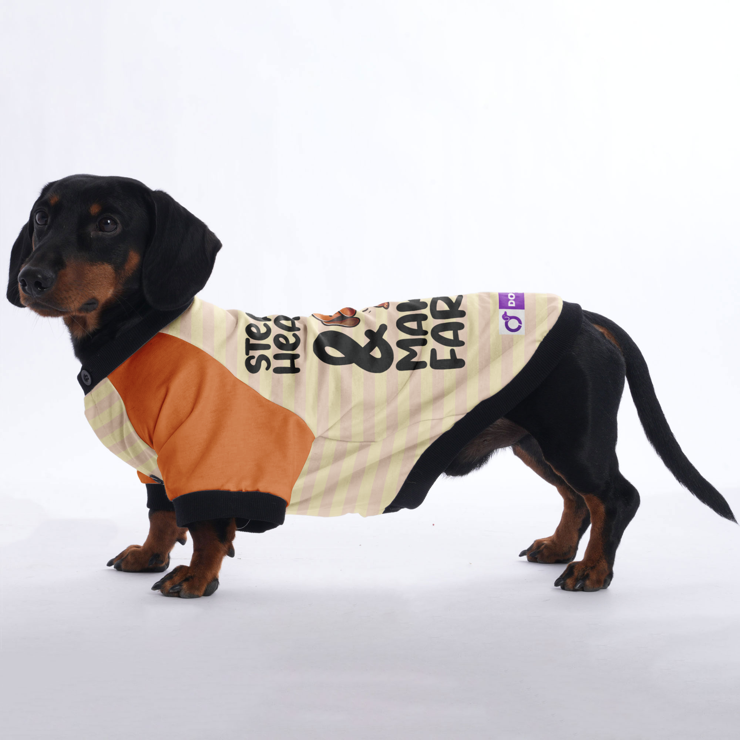 Stealin Hearts & Makin Farts - Jacket for Dachshunds