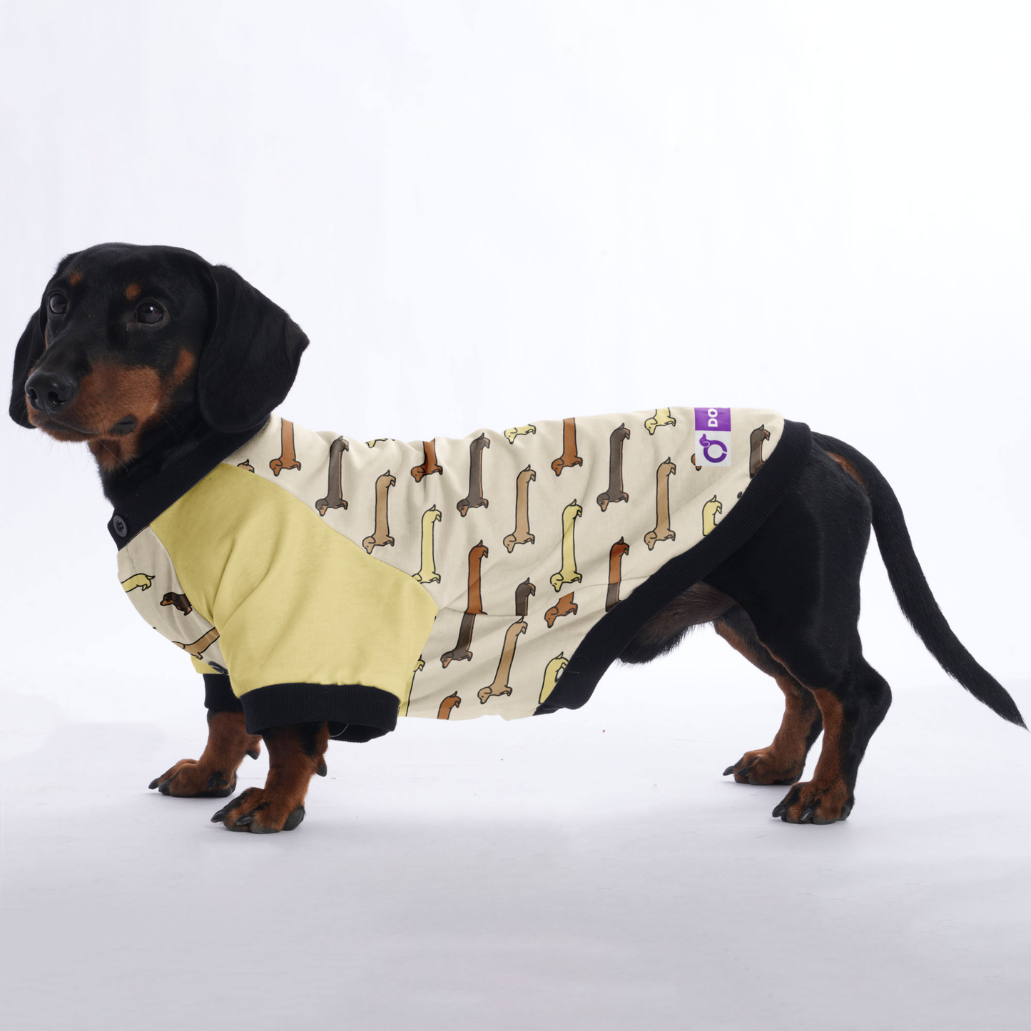 Birdie  - Jacket for Dachshunds