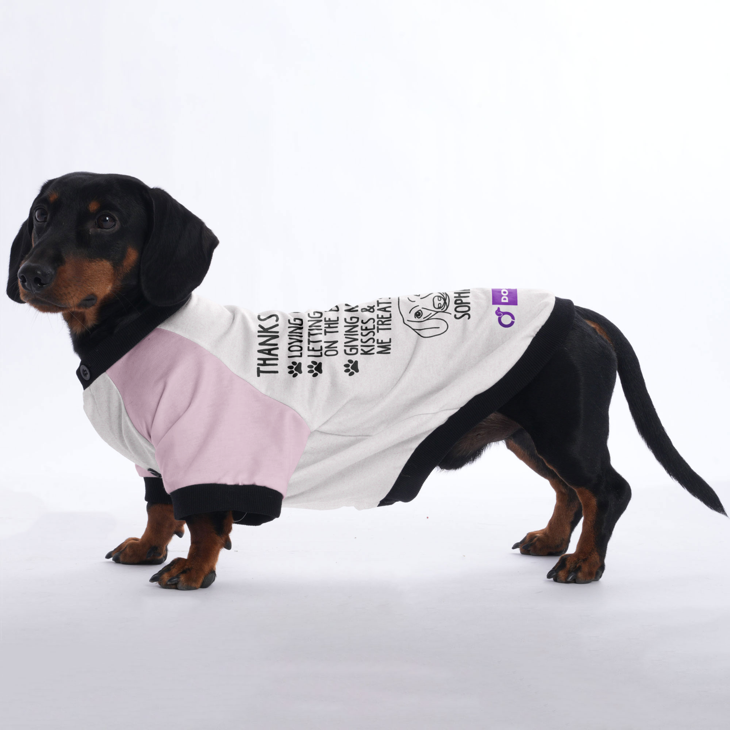 Customized Doxie Jacket with Your Dog's Name