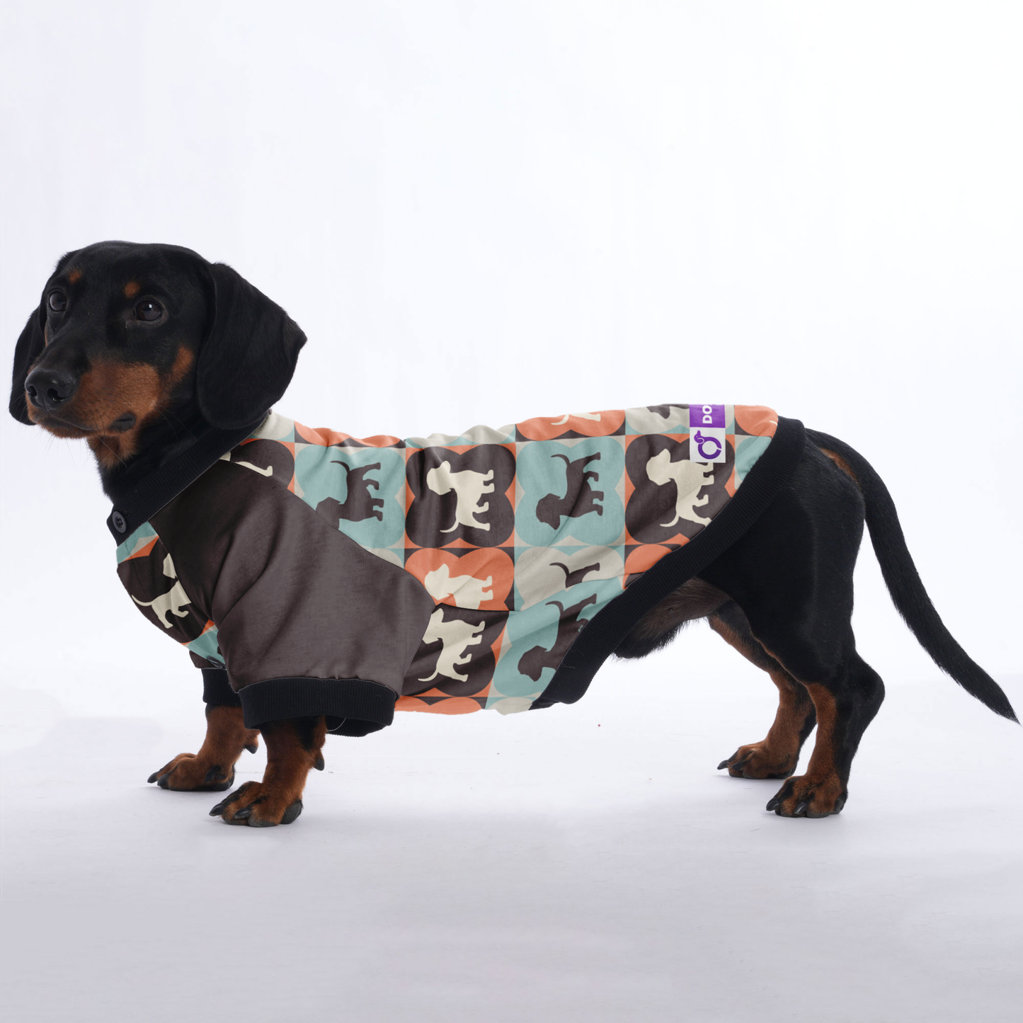 Molly  - Jacket for Dachshunds