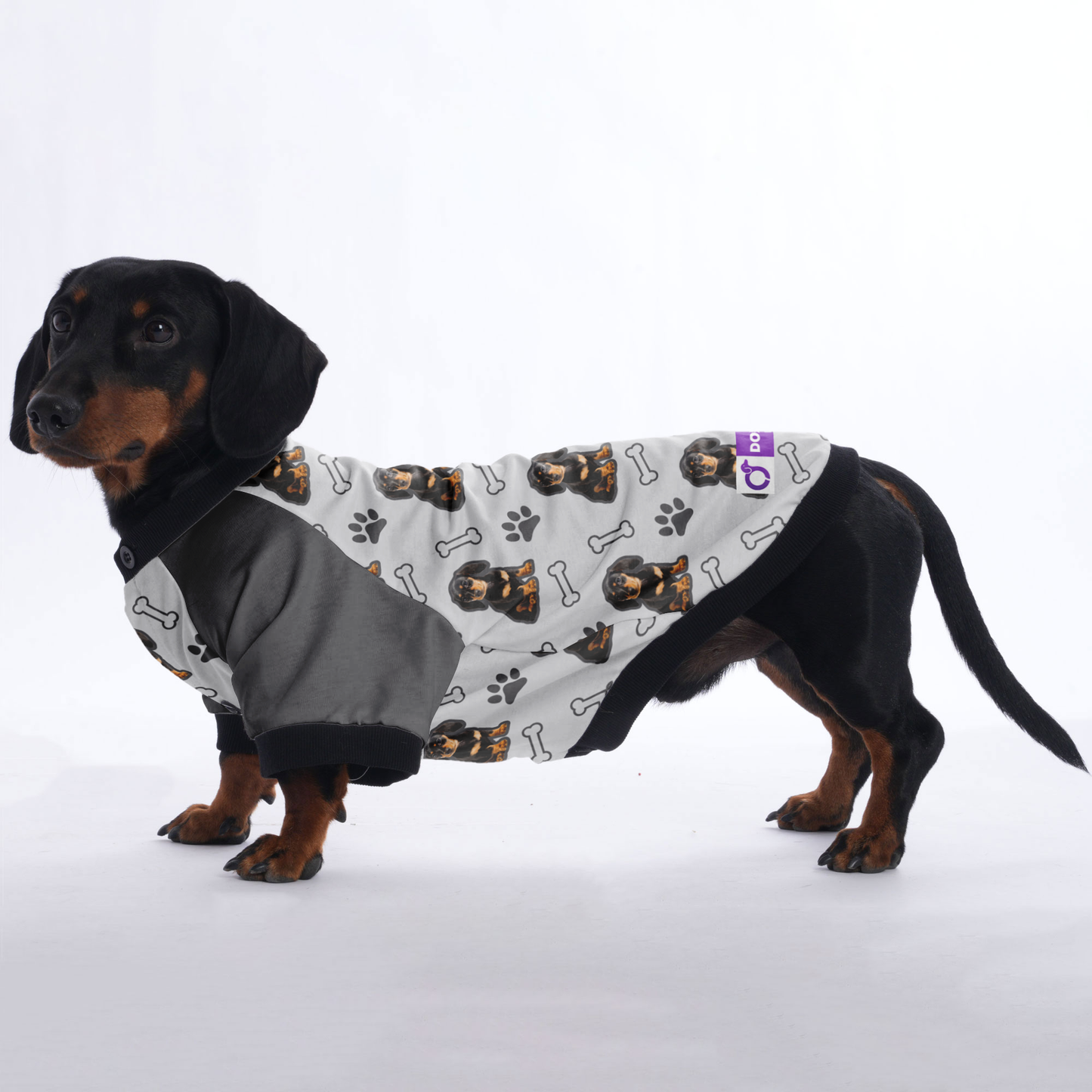 Custom Jacket for Dachshunds Featuring with dachshund's picture