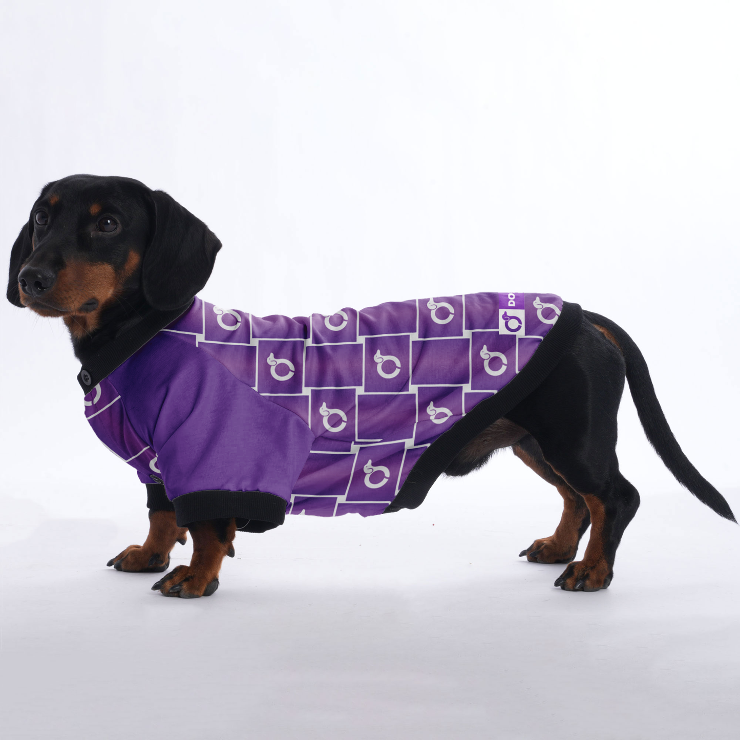 Tom - Jacket for Dachshunds