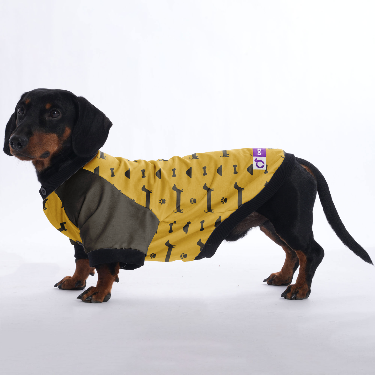 Indy - Jacket for Dachshunds