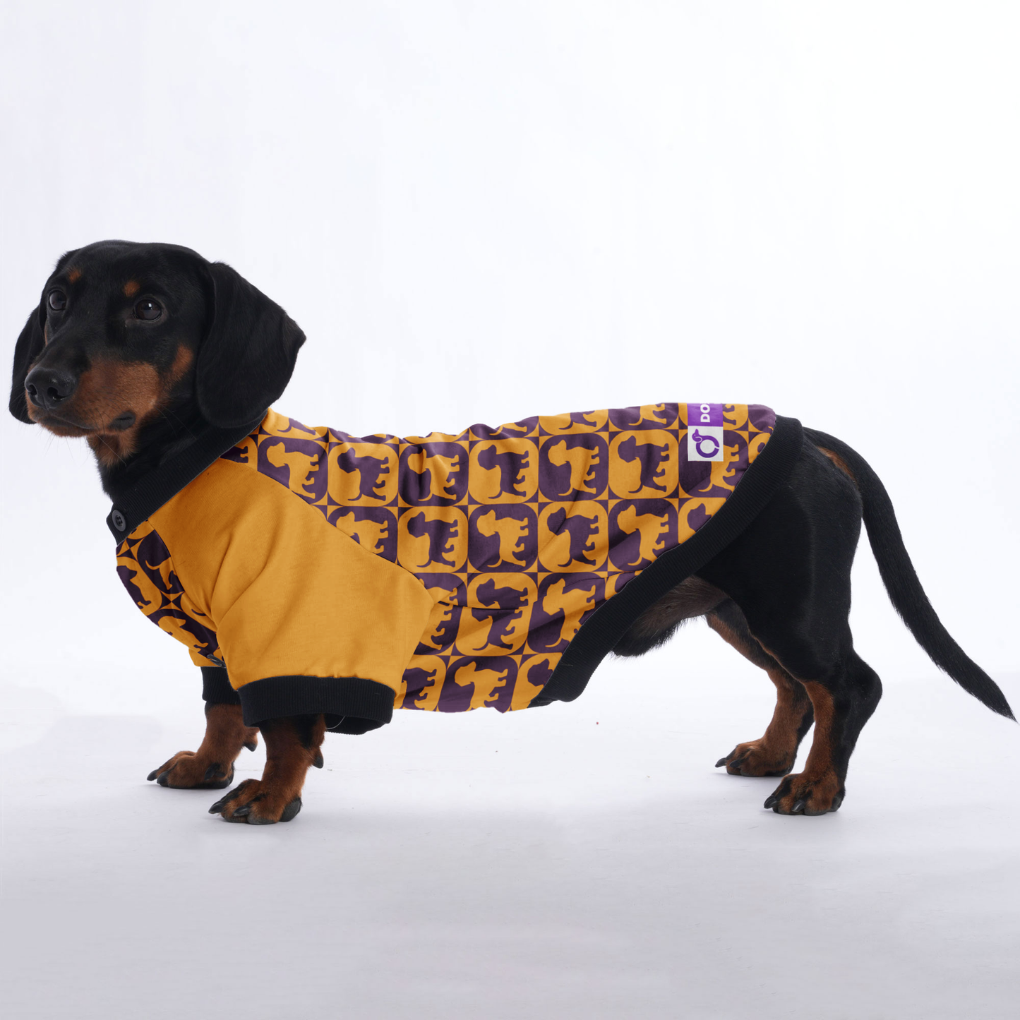 Ludwig - Jacket for Dachshunds