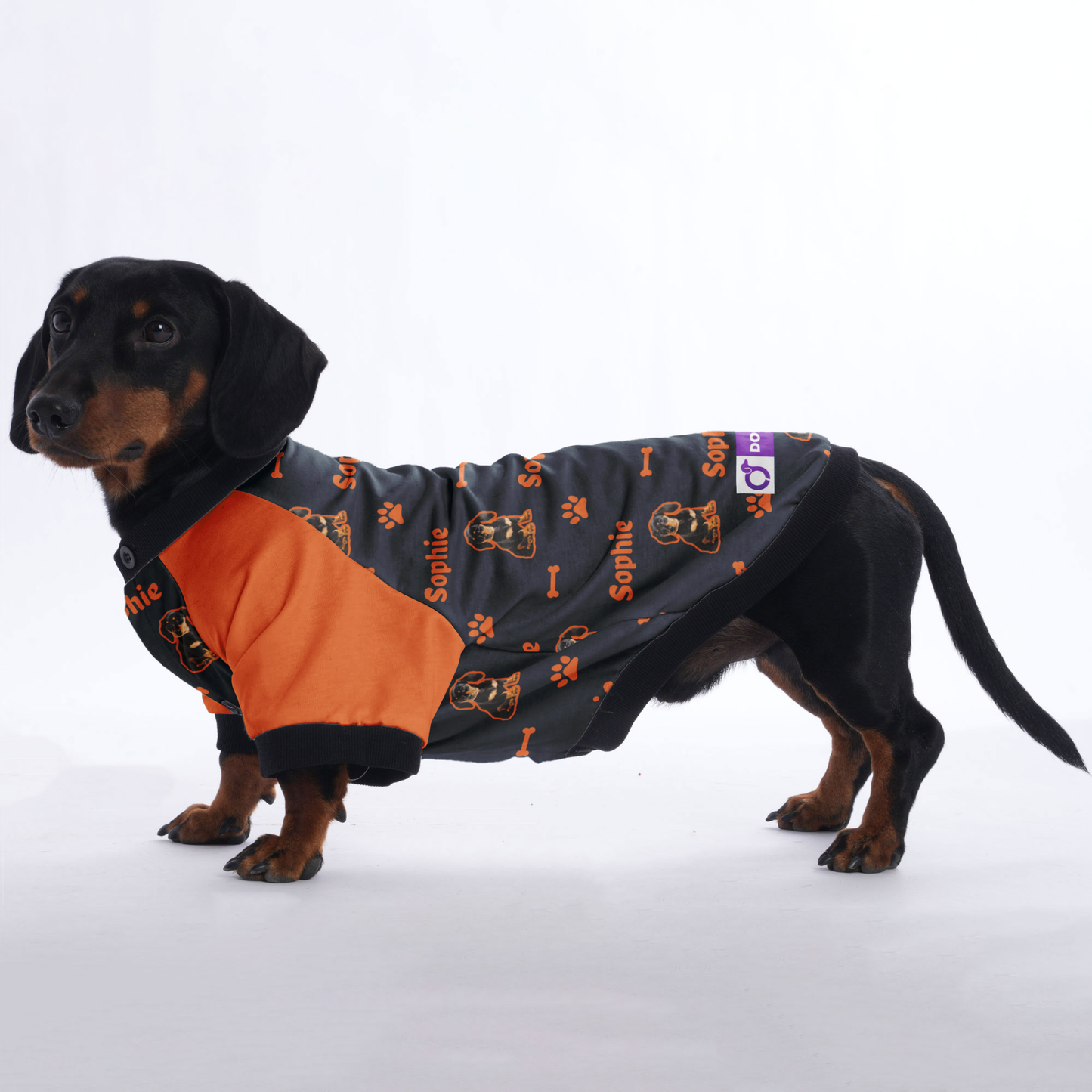 Customized Dachshund Jacket with Your Pet’s Name and Photo