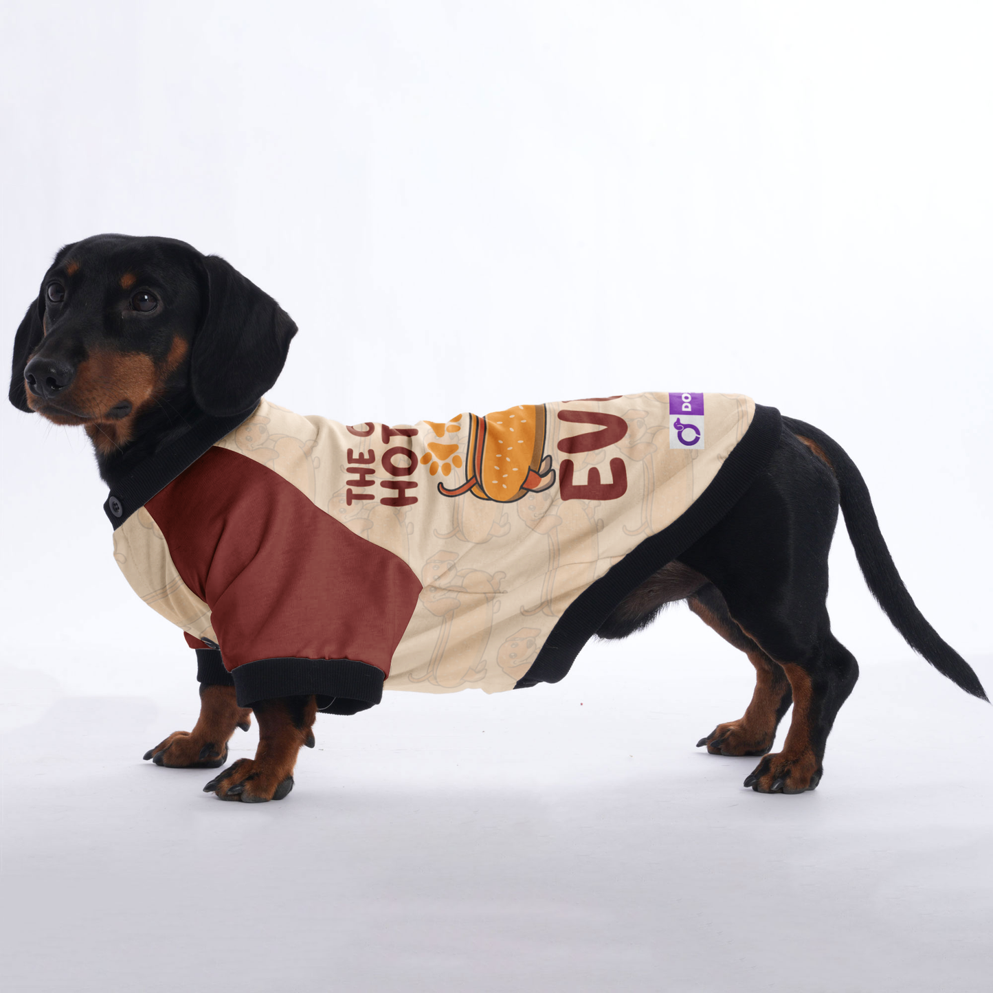 The cutest hot dog ever - Jacket for Dachshunds