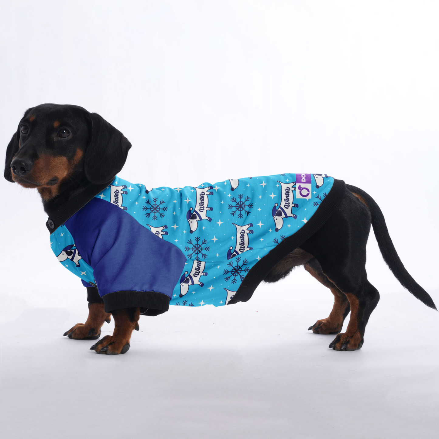 Tucker- Jacket for Dachshunds