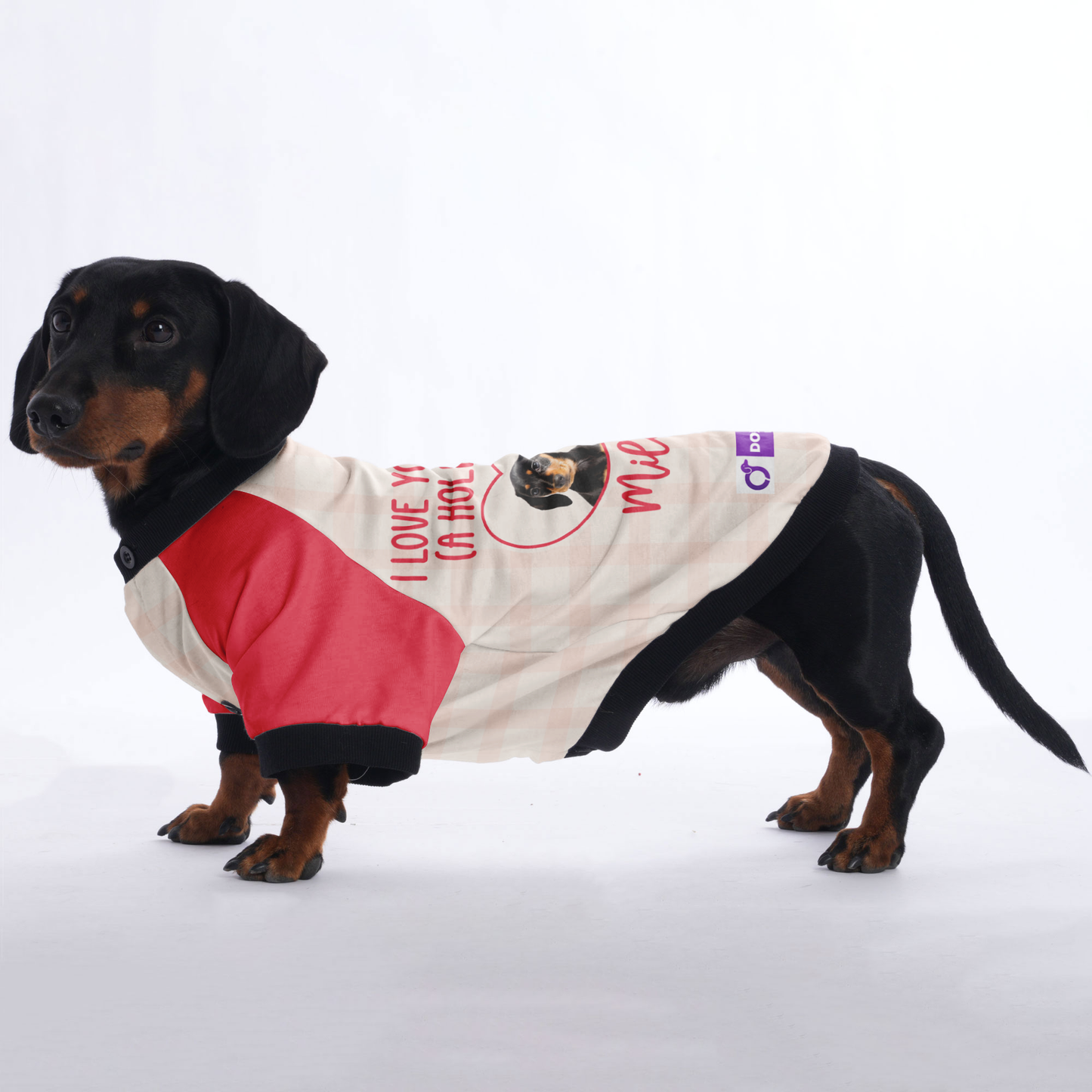 Dachshund Jacket Customized with Your Pet's Name and Picture