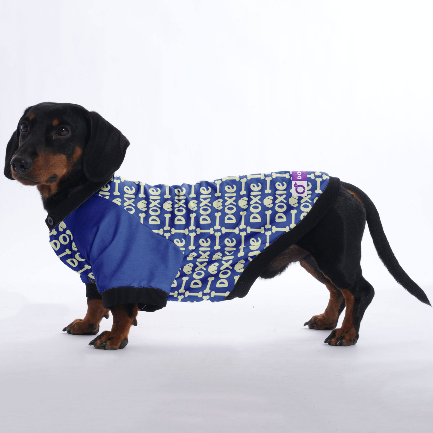 Ken - Jacket for Dachshunds