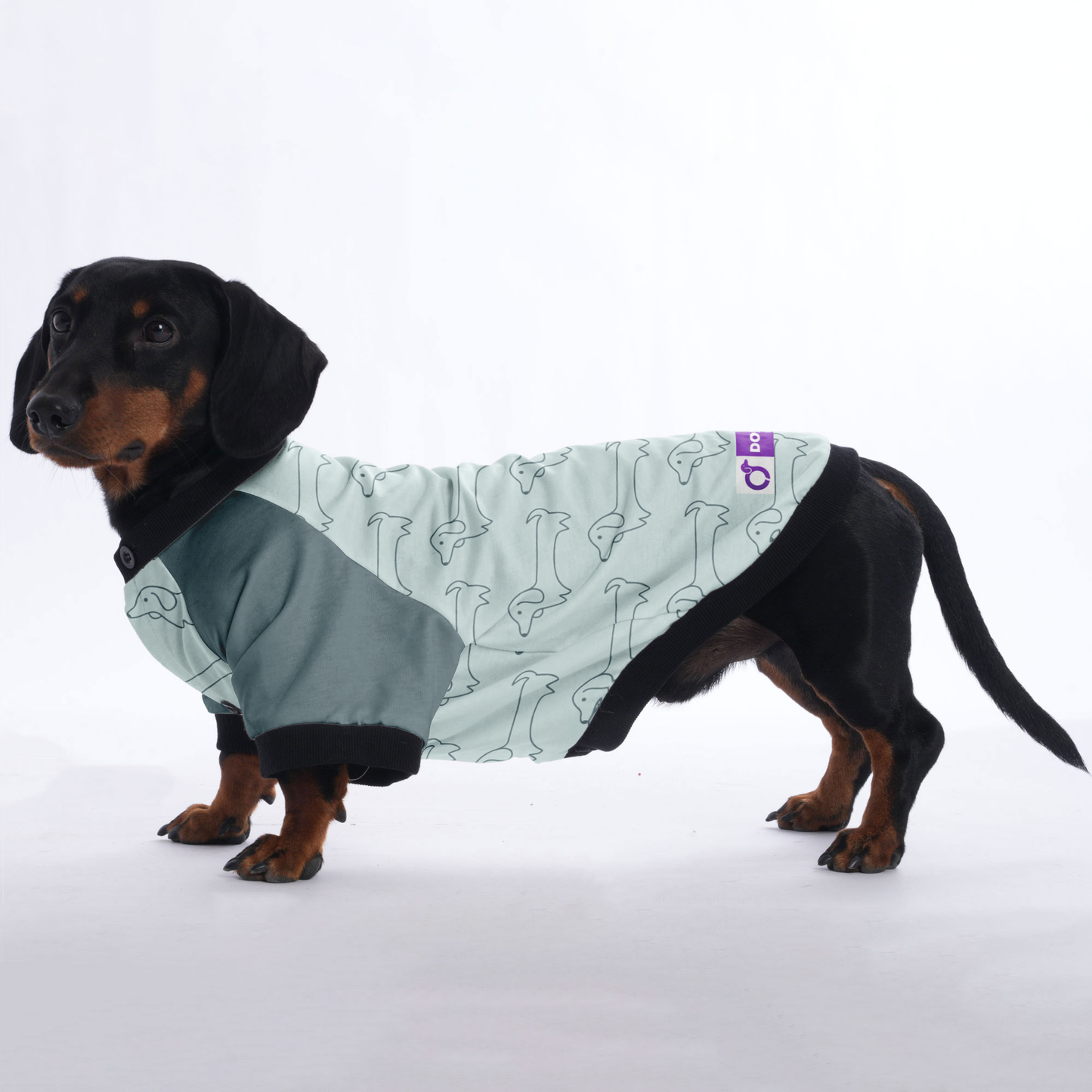 Penny - Jacket for Dachshunds