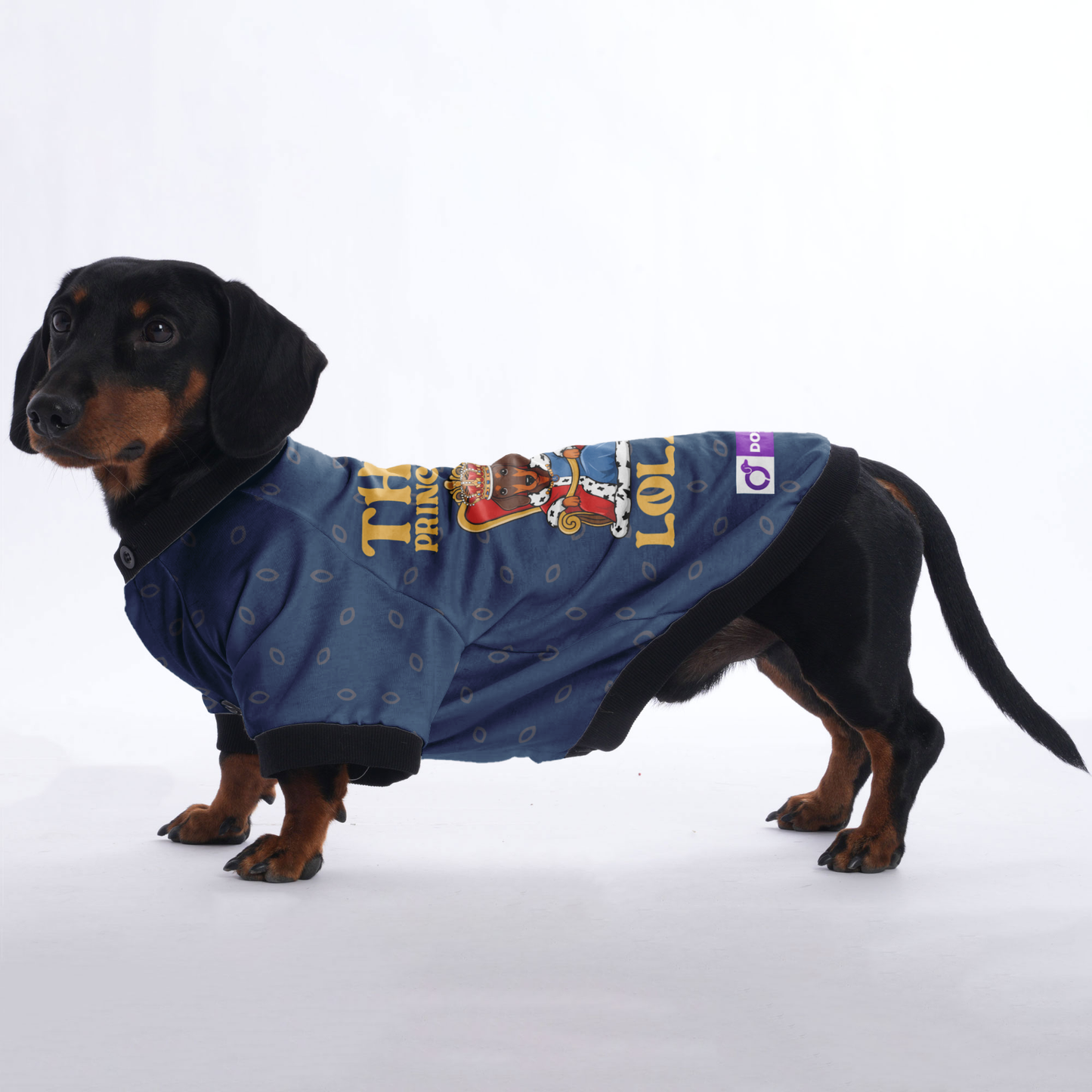 Customized Dachshund Jacket with Your Pet’s Name