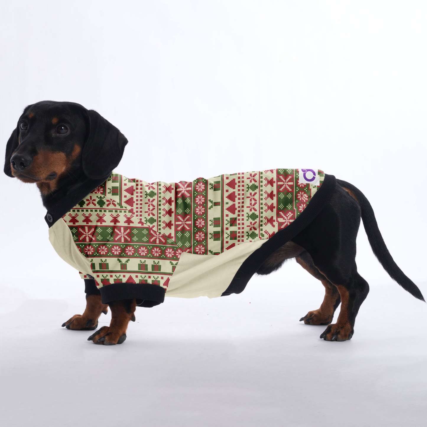 Molly - Jacket for Dachshunds