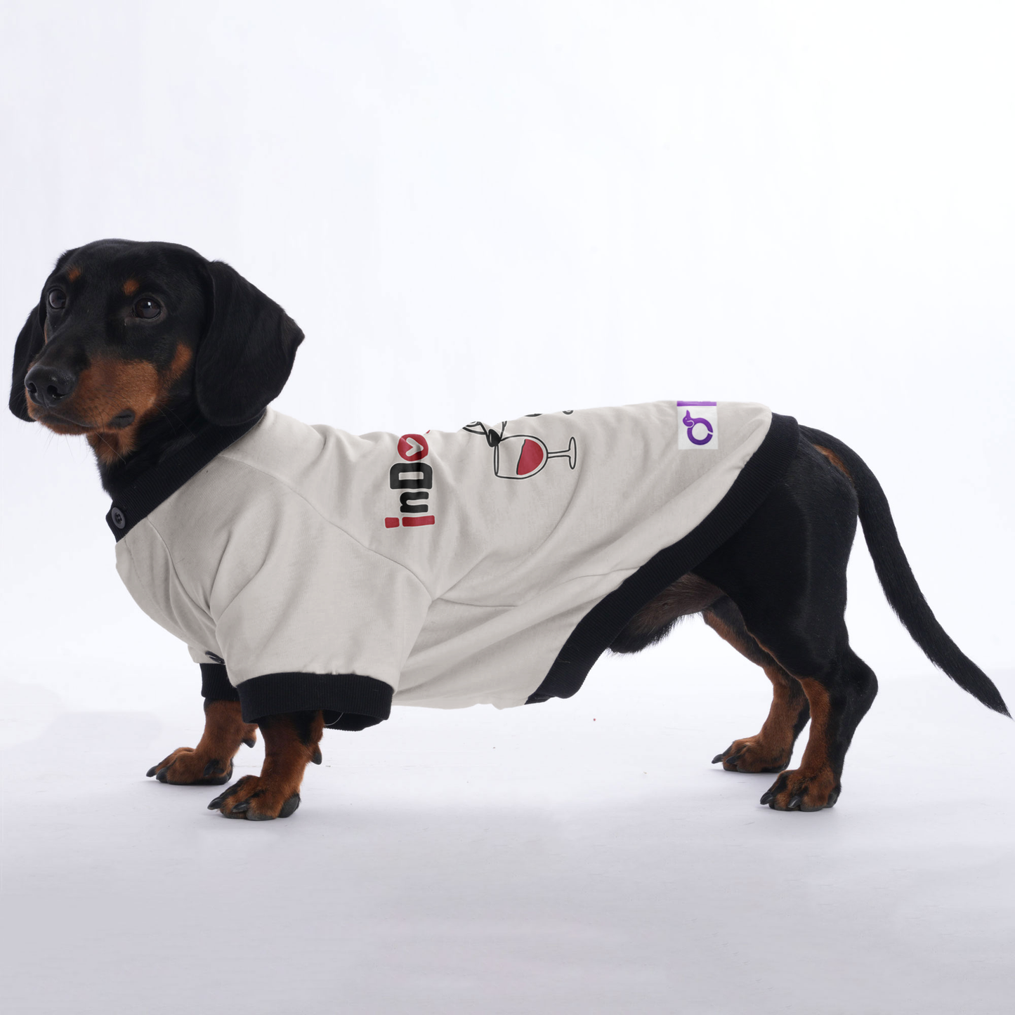 Chloe - Jacket for Dachshunds