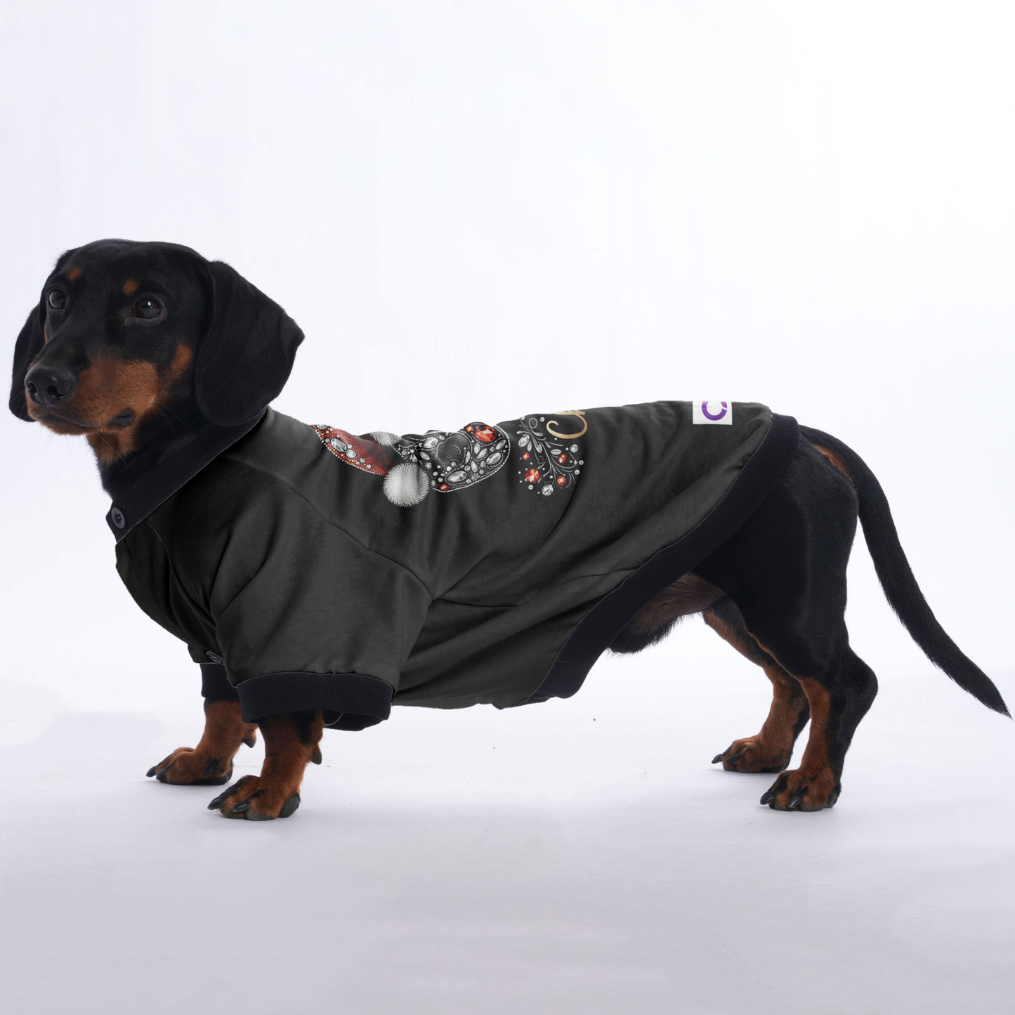 Luna - Jacket for Dachshunds