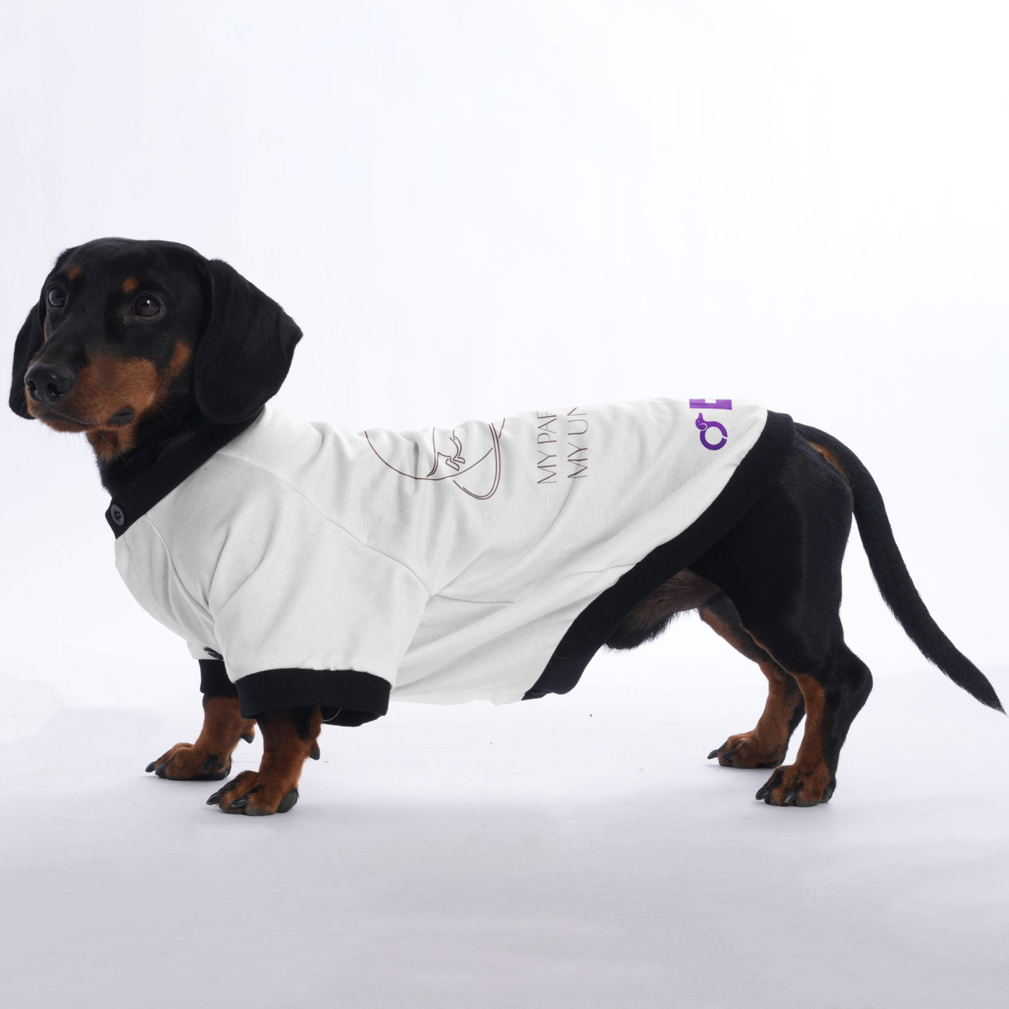 Zoey - Jacket for Dachshunds