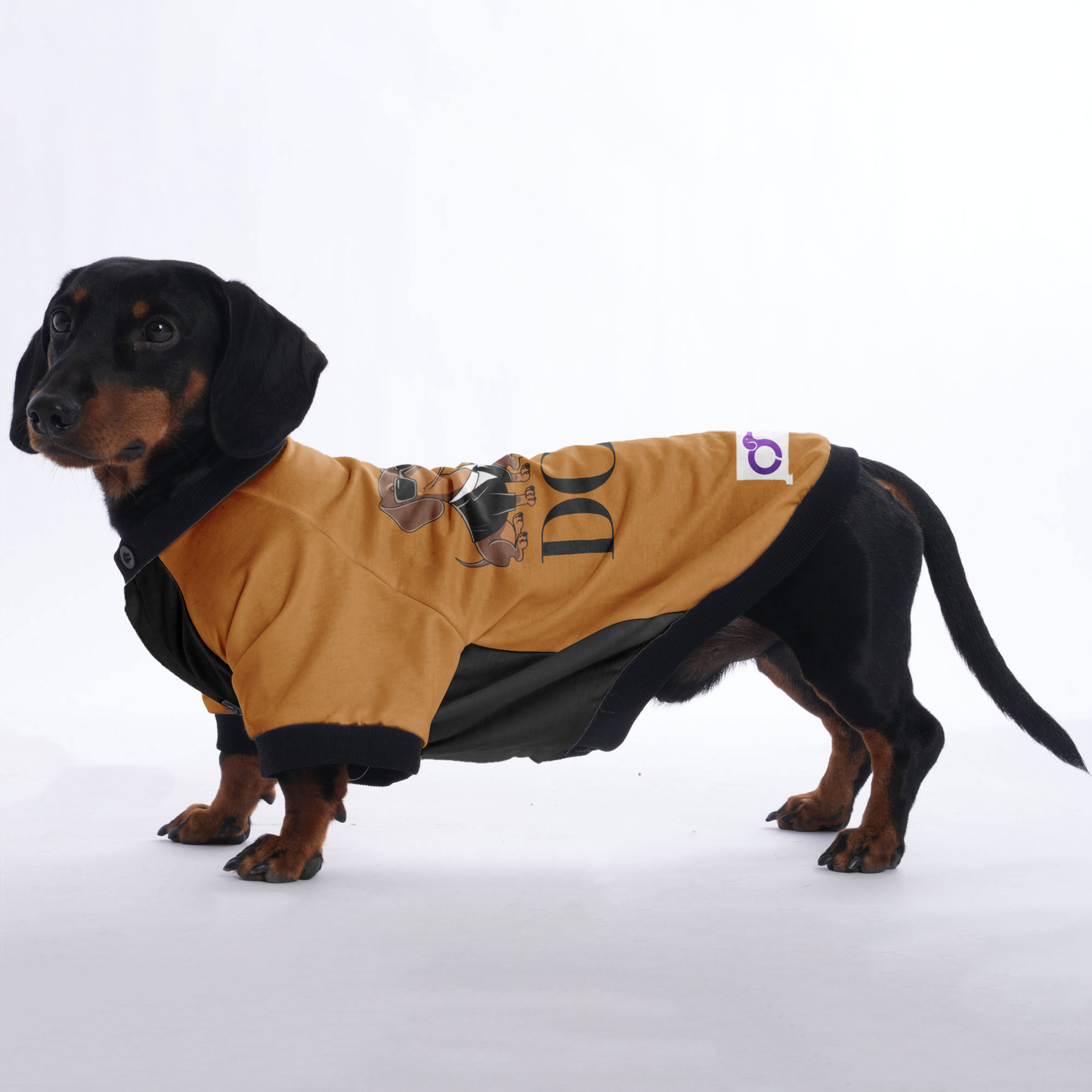 Lily - Jacket for Dachshunds