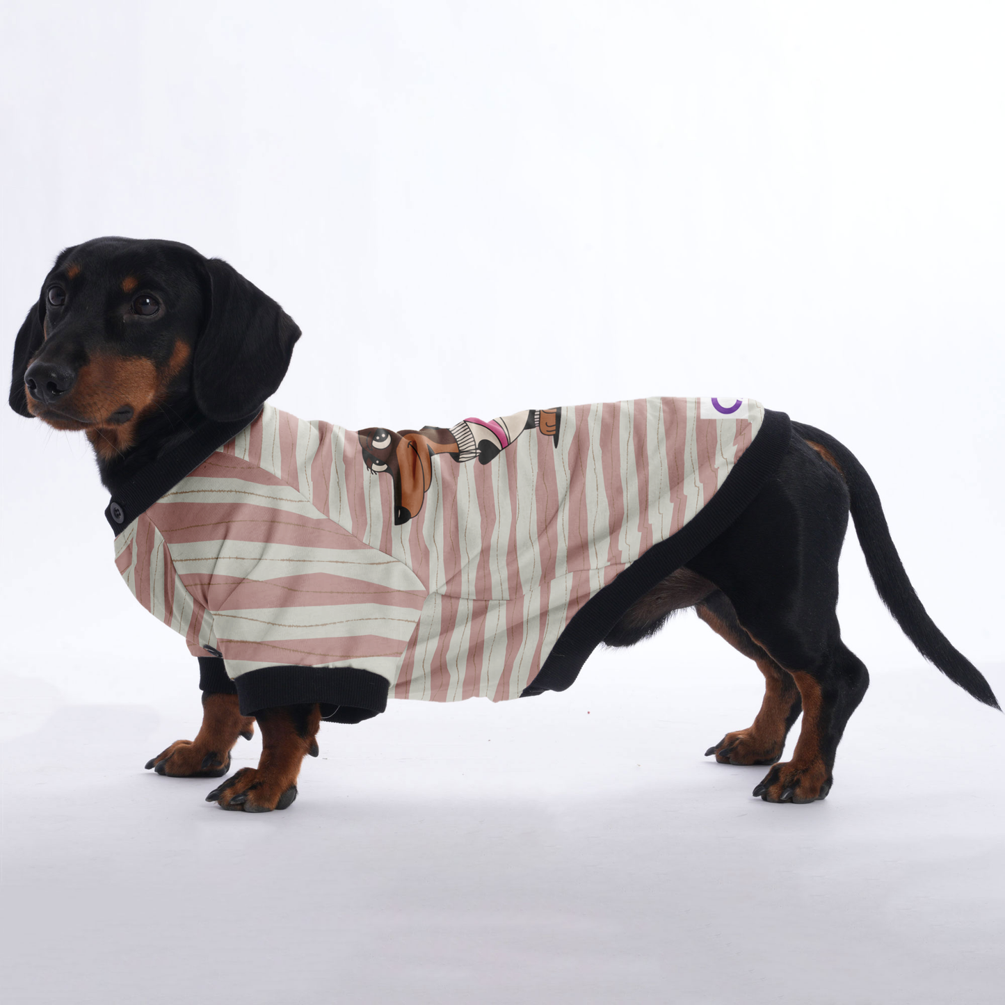 Stella - Jacket for Dachshunds