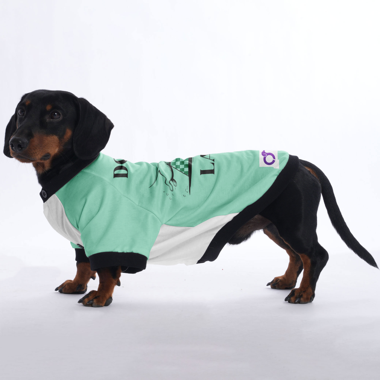 DOXIE LANCA - Jacket for Dachshunds