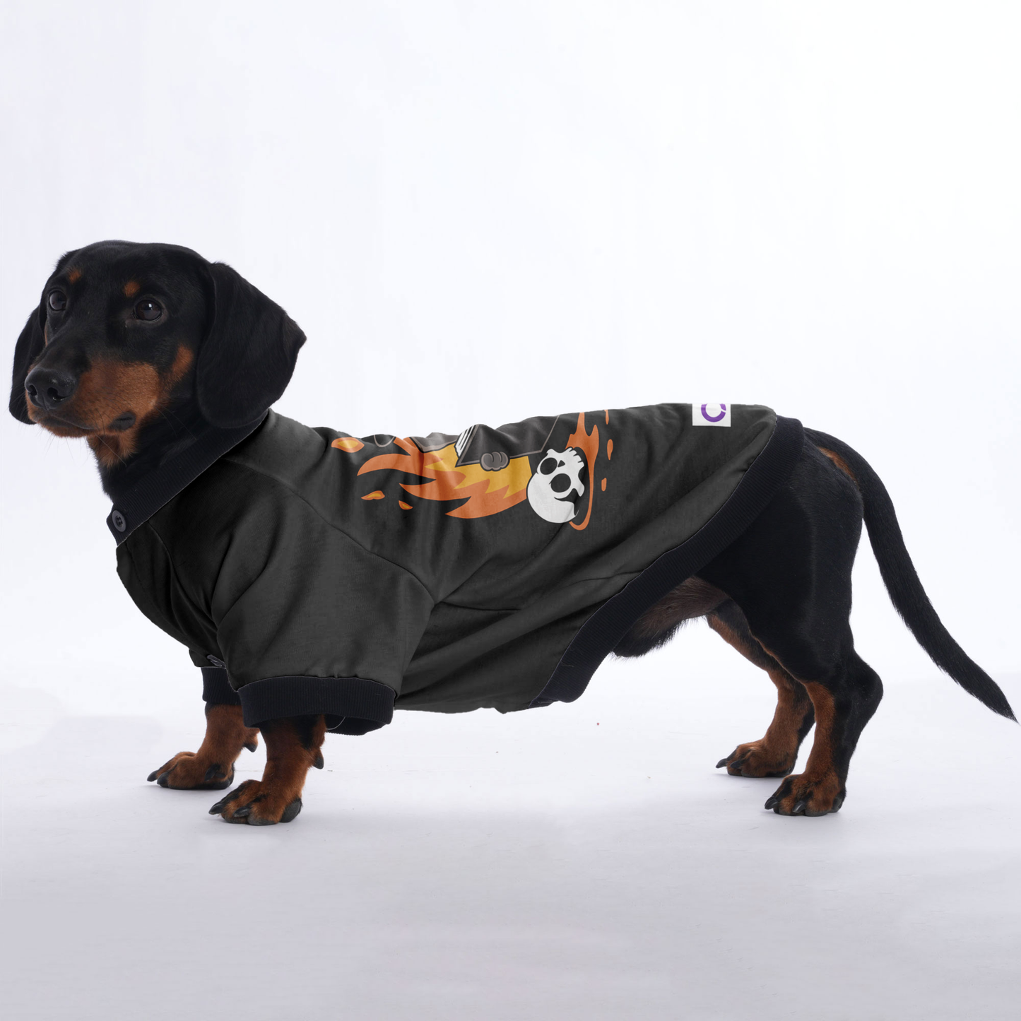 Duke - Jacket for Dachshunds