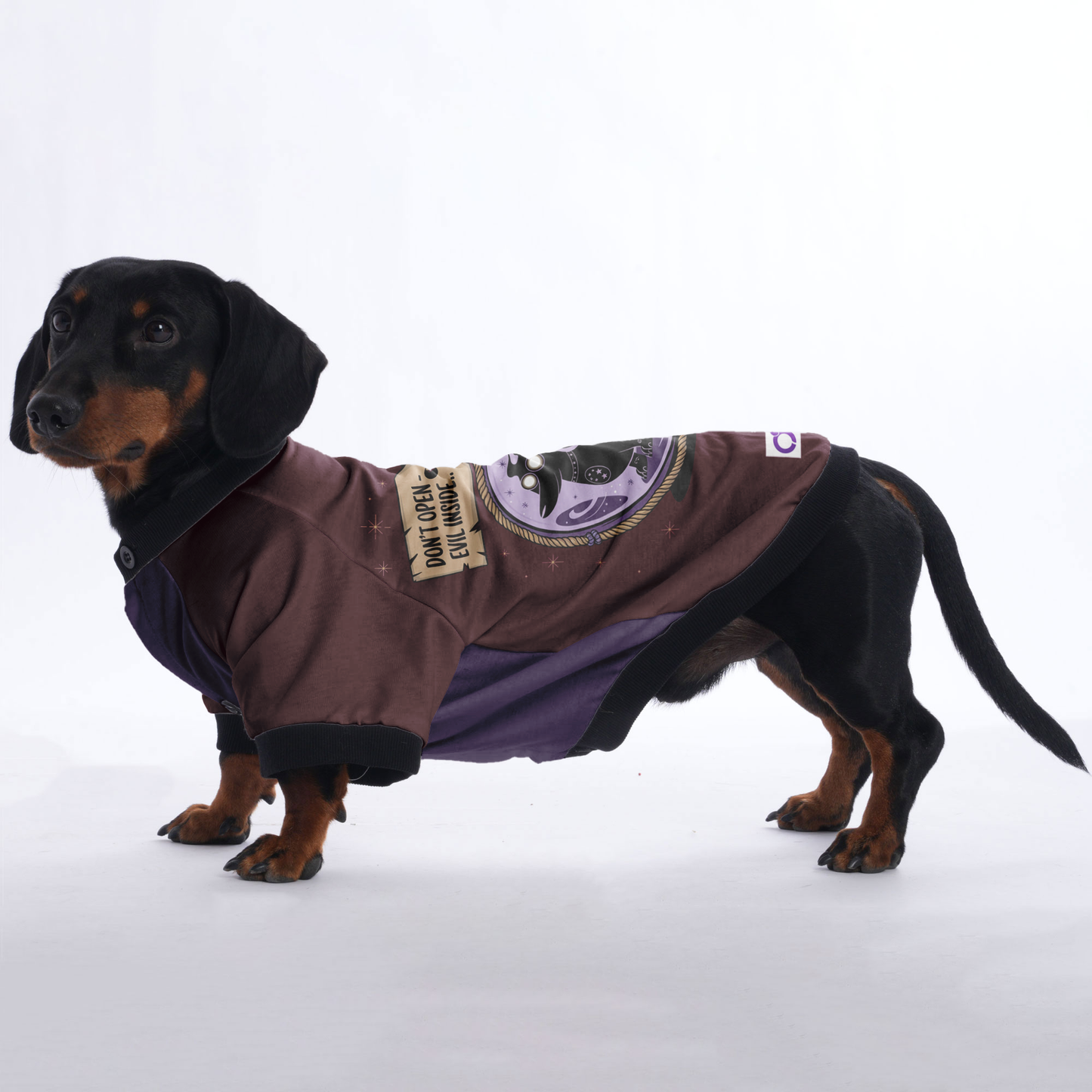 Scout - Jacket for Dachshunds