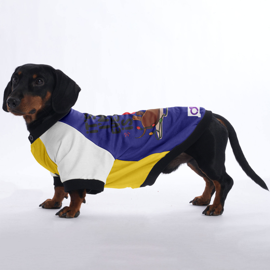 Lucy - Jacket for Dachshunds