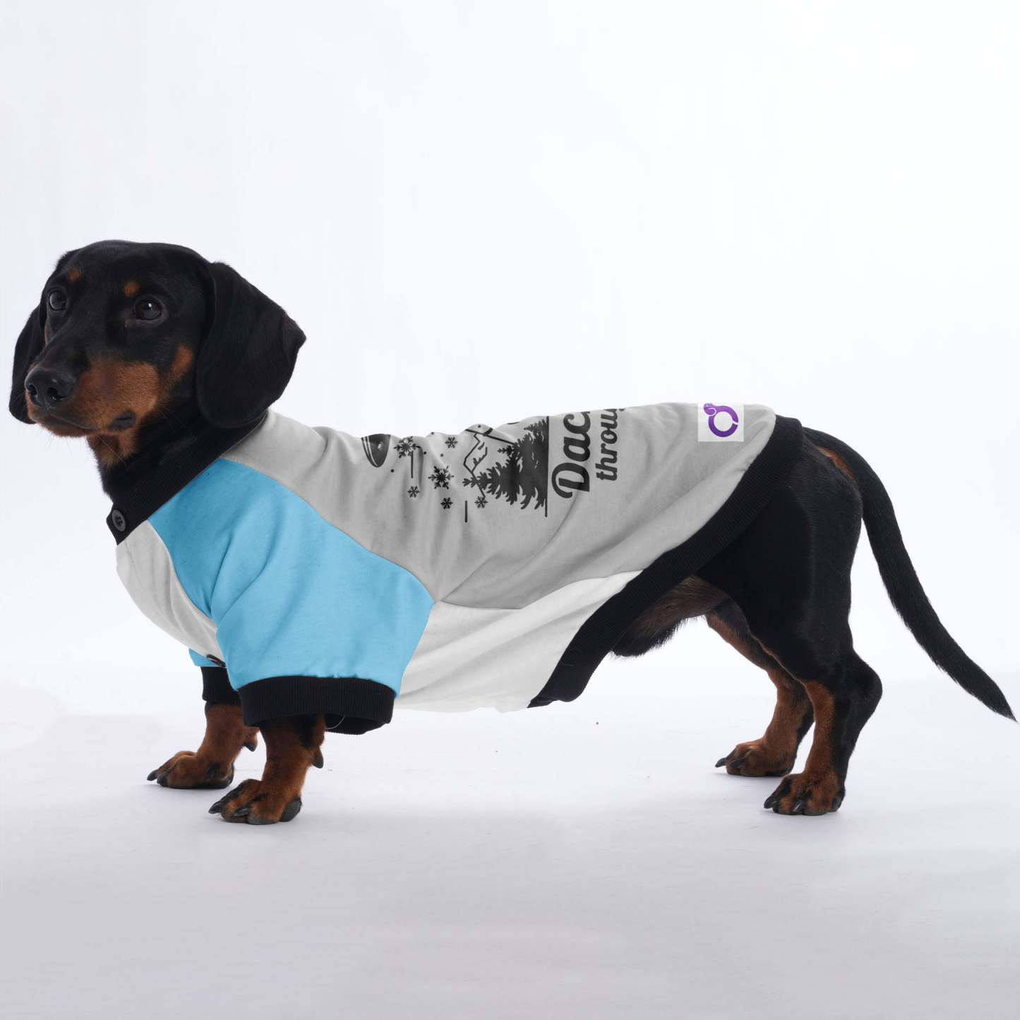 Milo - Jacket for Dachshunds