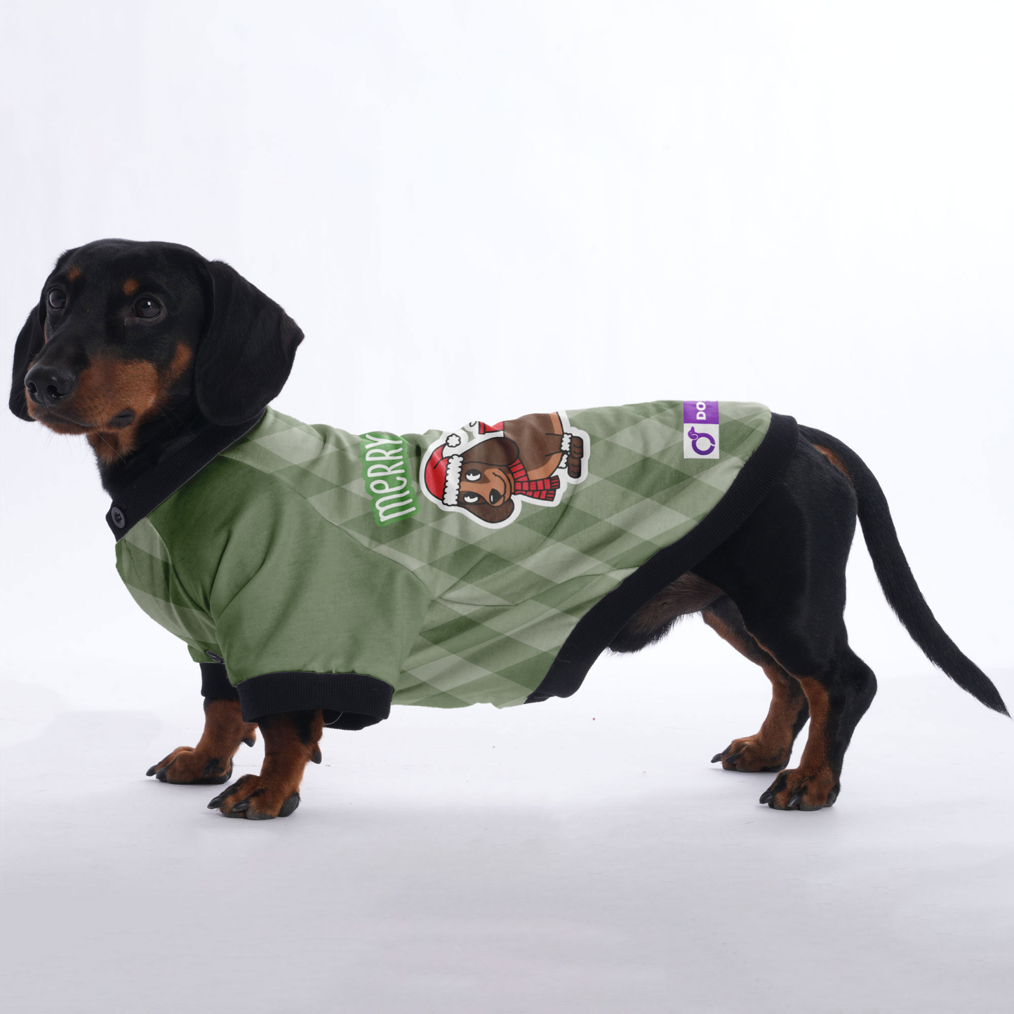 Merry Woofmas - Jacket for Dachshunds