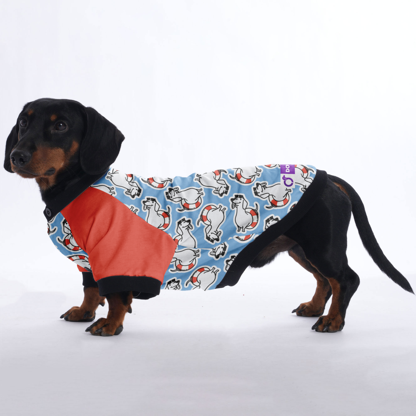 Sandra  - Jacket for Dachshunds