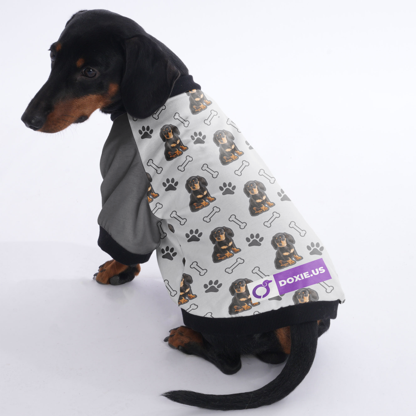 Custom Jacket for Dachshunds Featuring with dachshund's picture